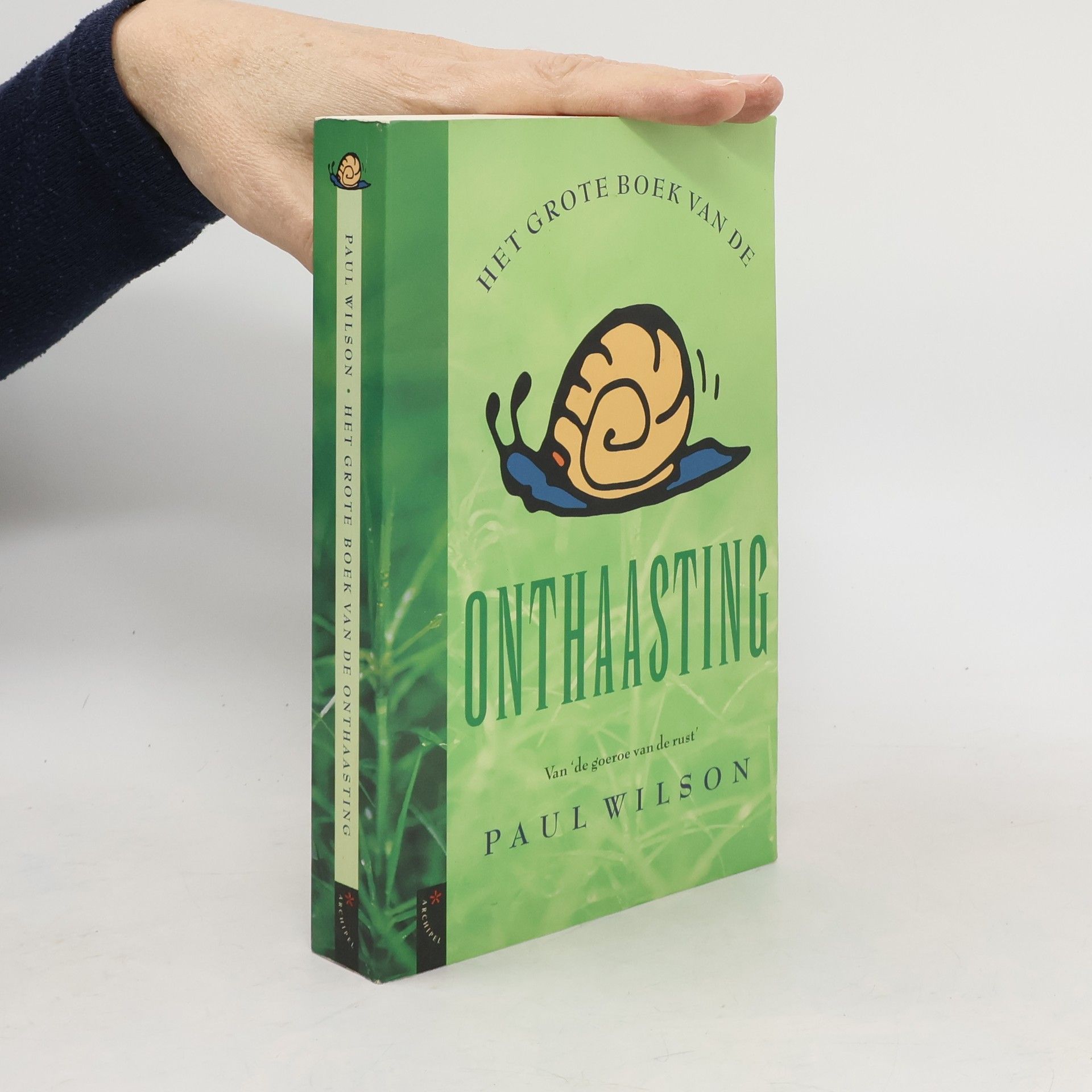 Paul Wilson Het grote boek van de onthaasting