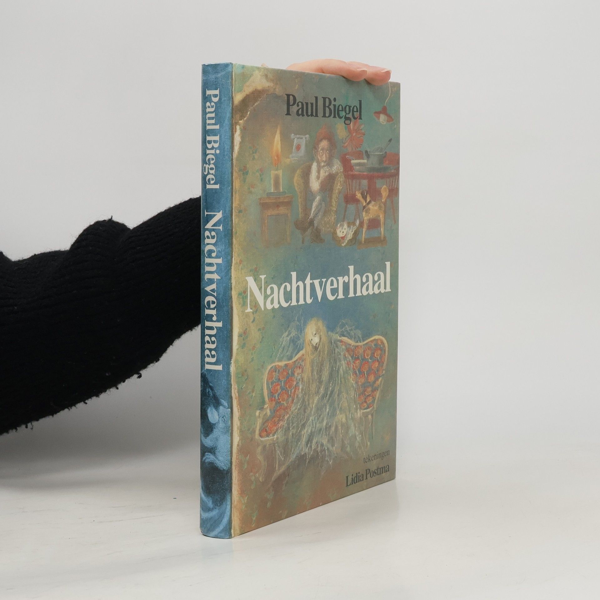 Paul Biegel Nachtverhaal