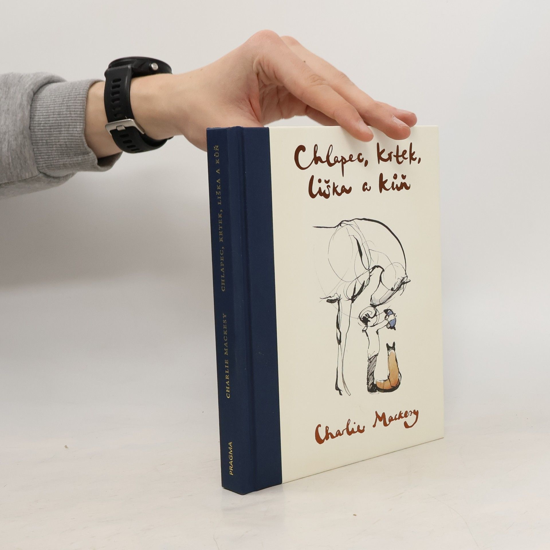 Charlie Mackesy Chlapec, krtek, liška a kůň