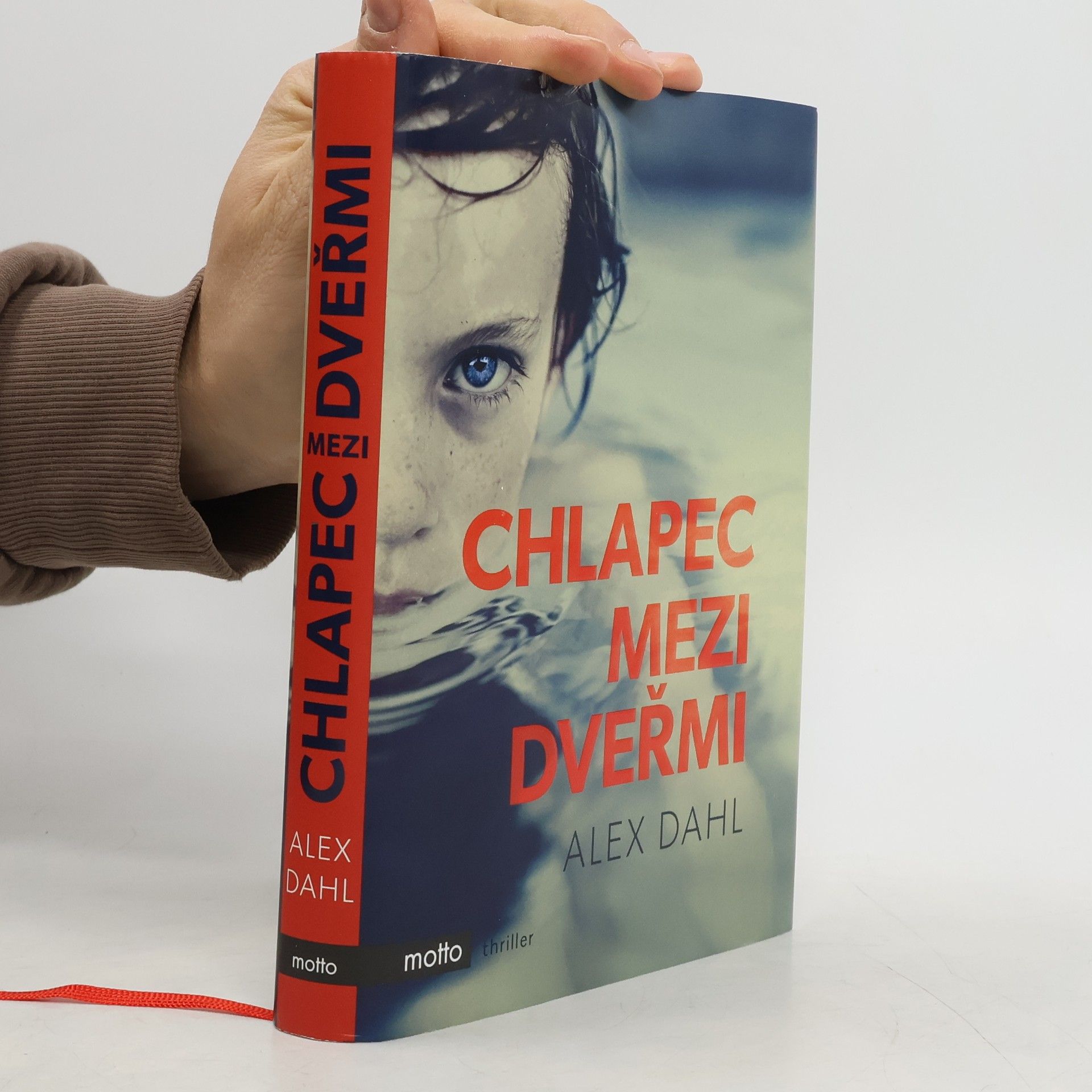 Alex Dahl Chlapec mezi dveřmi