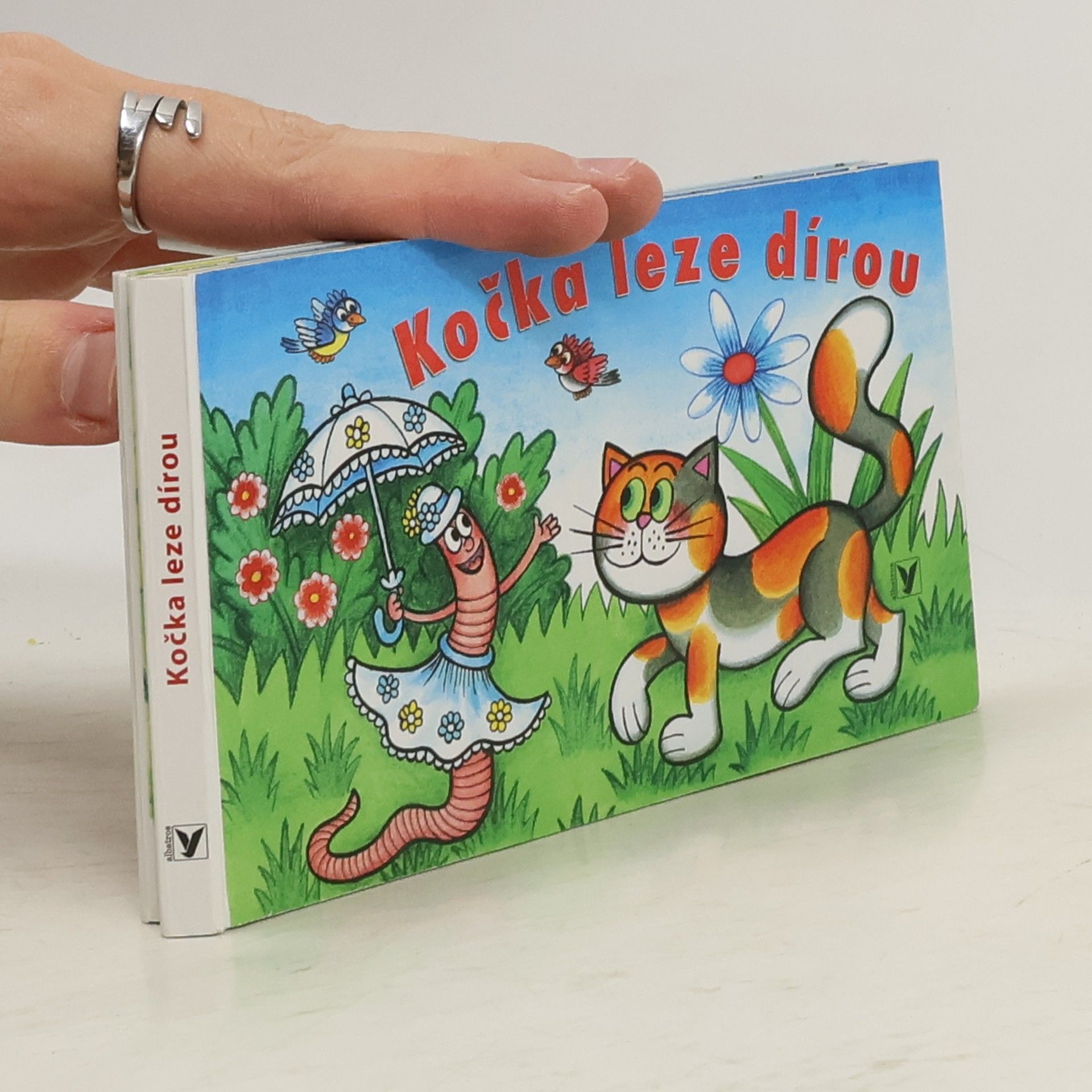 Kolektív autorov Kočka leze dírou