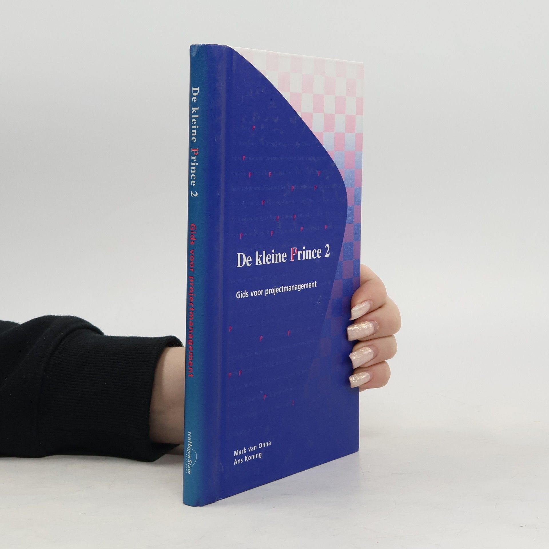 Mark van Onna De kleine Prince 2