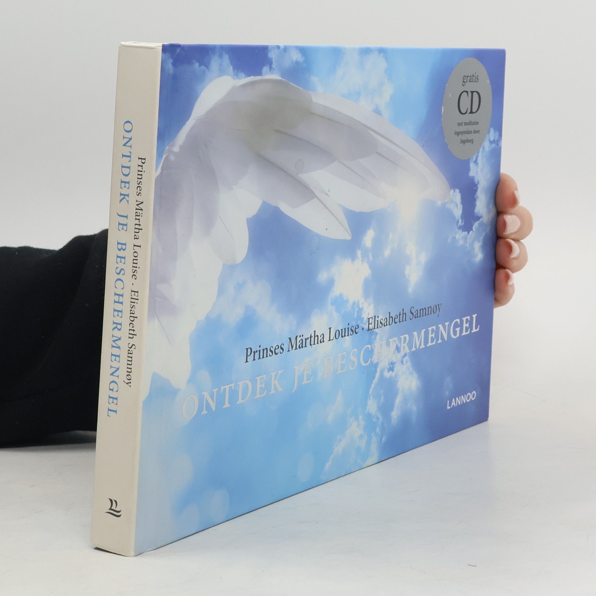 Autores varios Ontdek je beschermengel