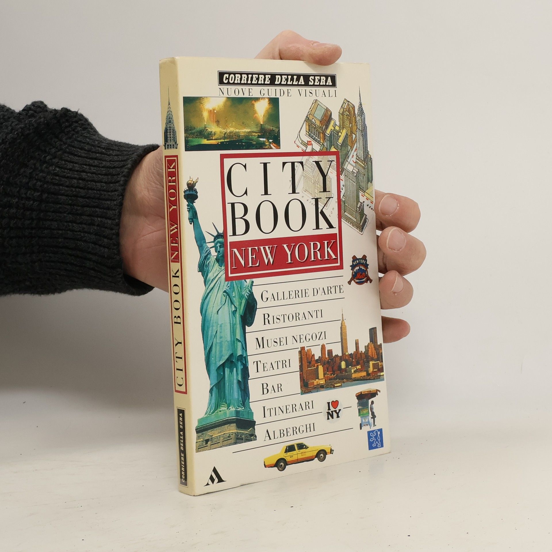 Kolektív autorov City Book New York