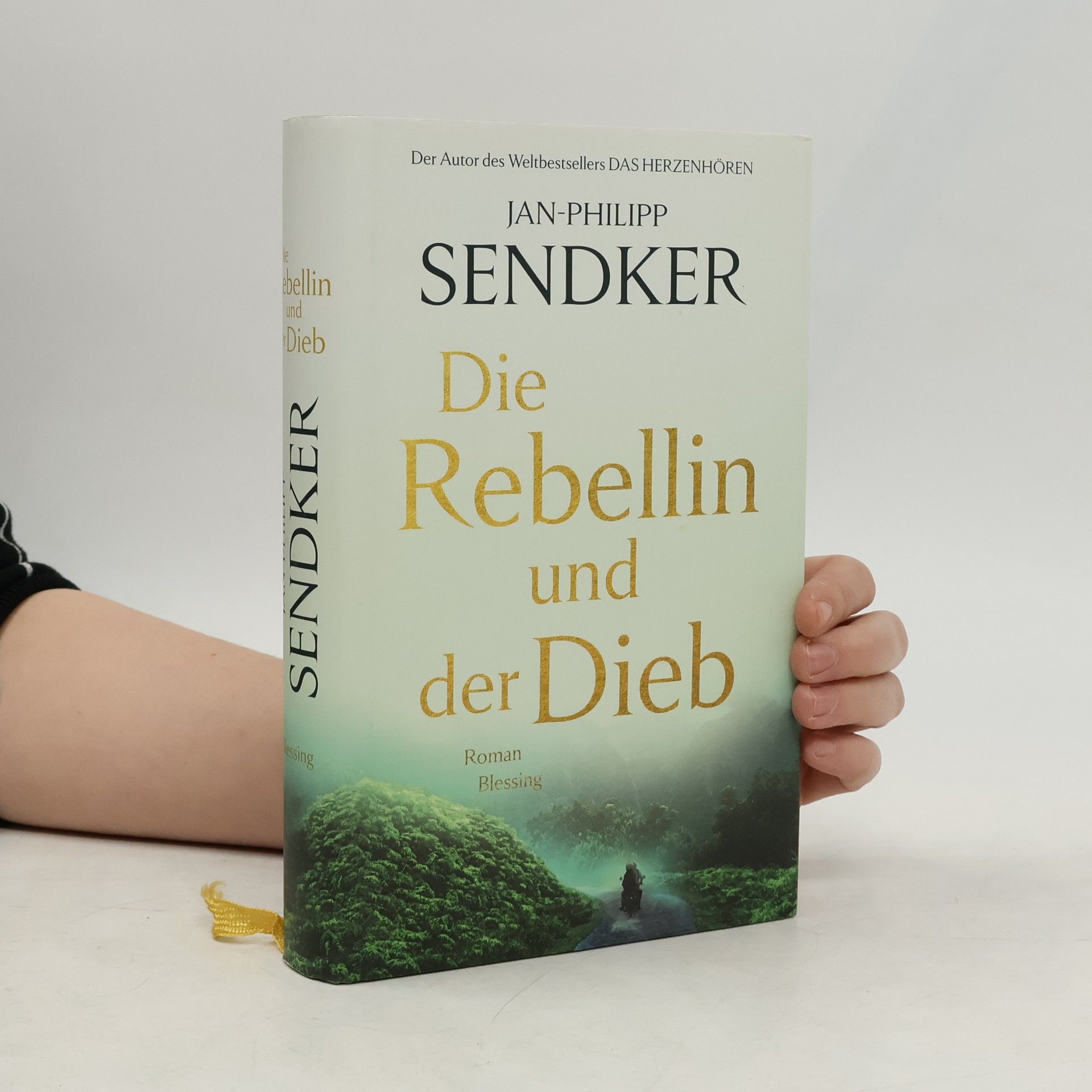 Jan-Philipp Sendker Die Rebellin und der Dieb
