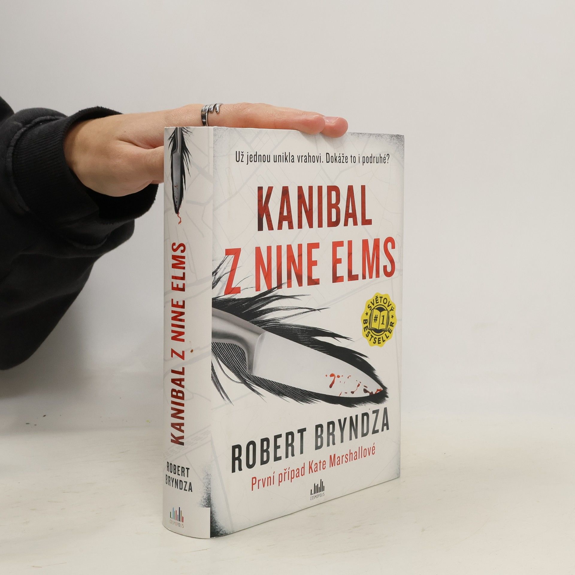 Robert Bryndza Kanibal z Nine Elms