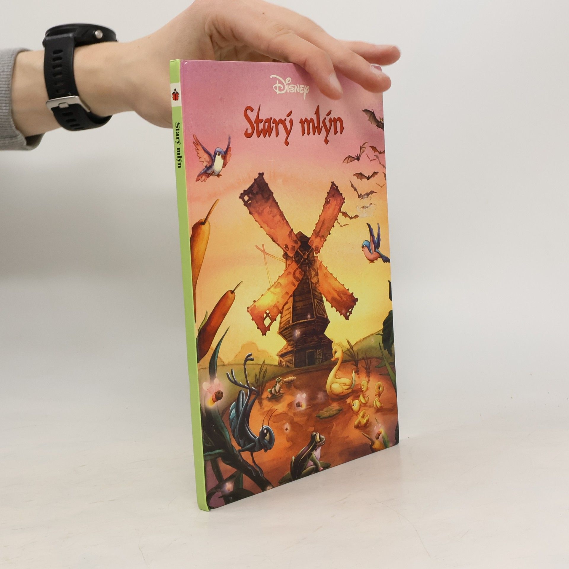 Collectif d'auteurs Starý mlýn