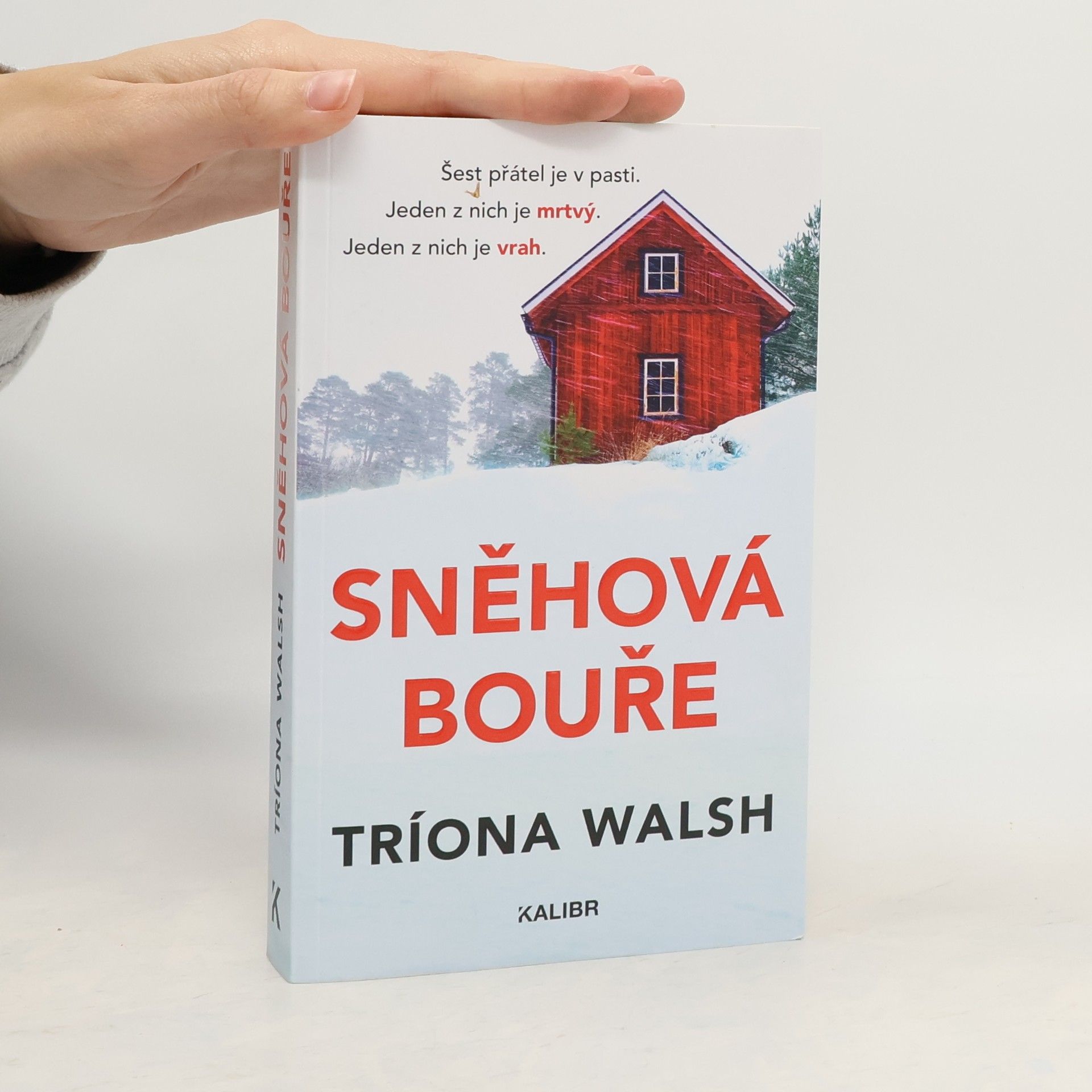 Tríona Walsh Sněhová bouře