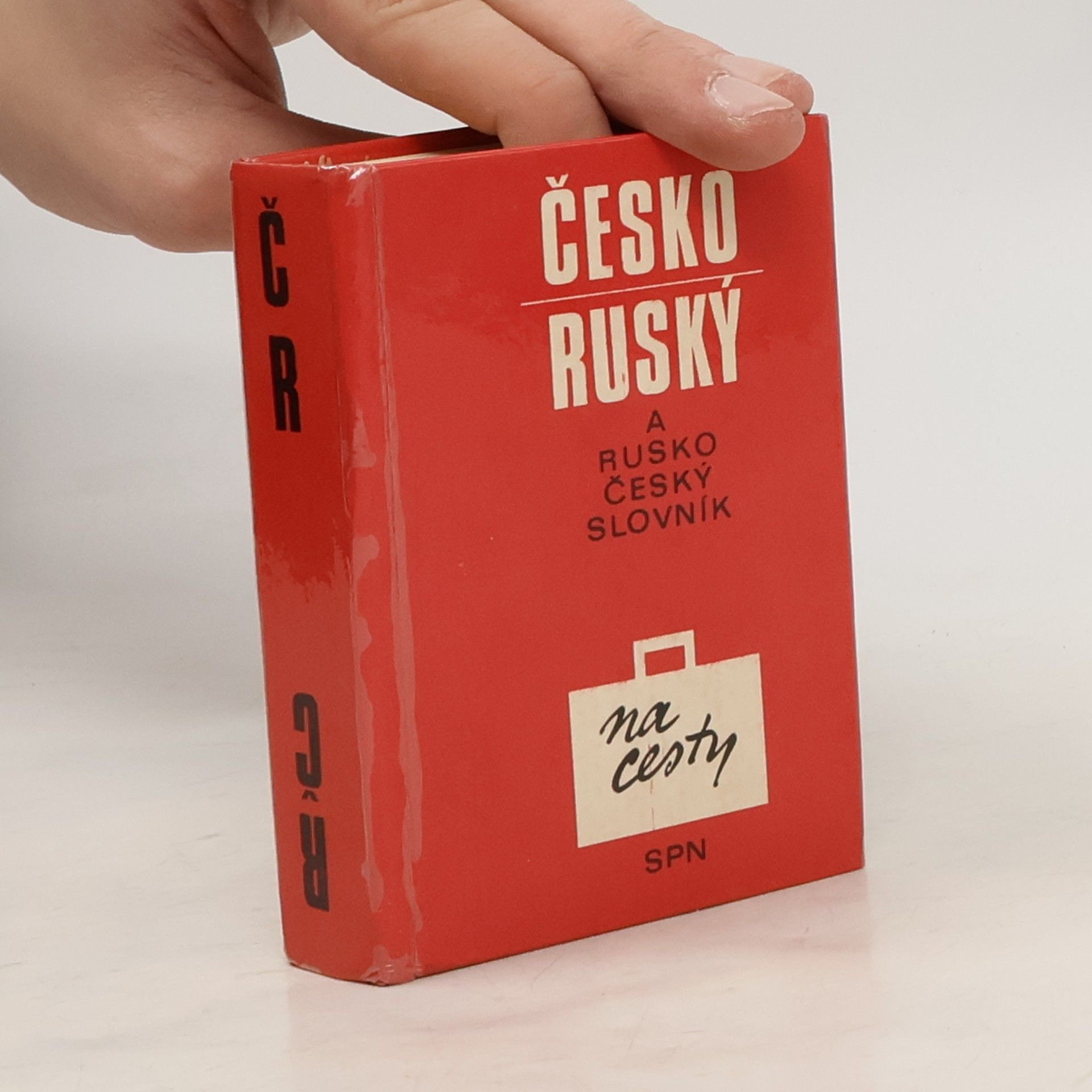 Collectif d'auteurs Rusko-český a česko-ruský slovník na cesty