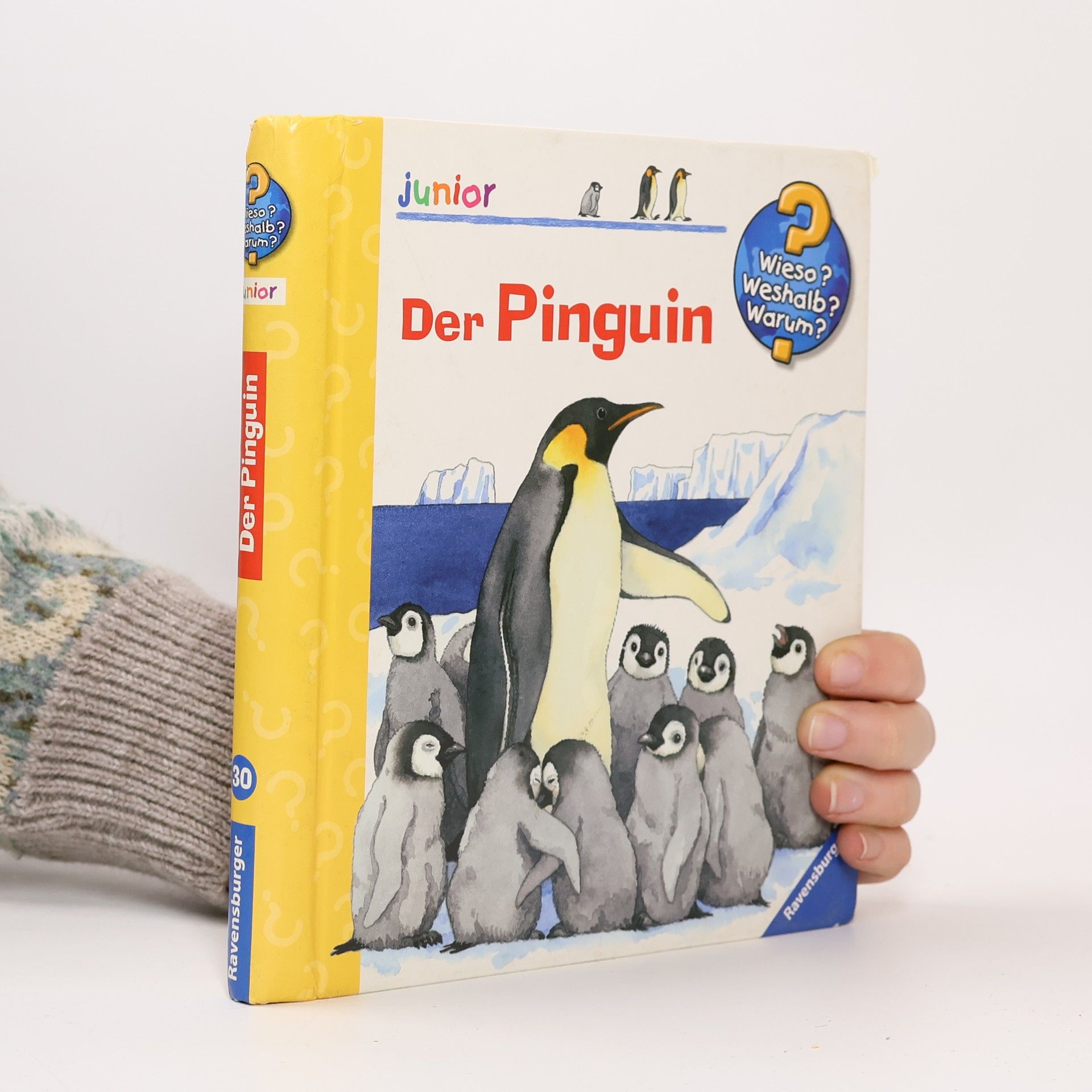 Anne Ebert Der Pinguin
