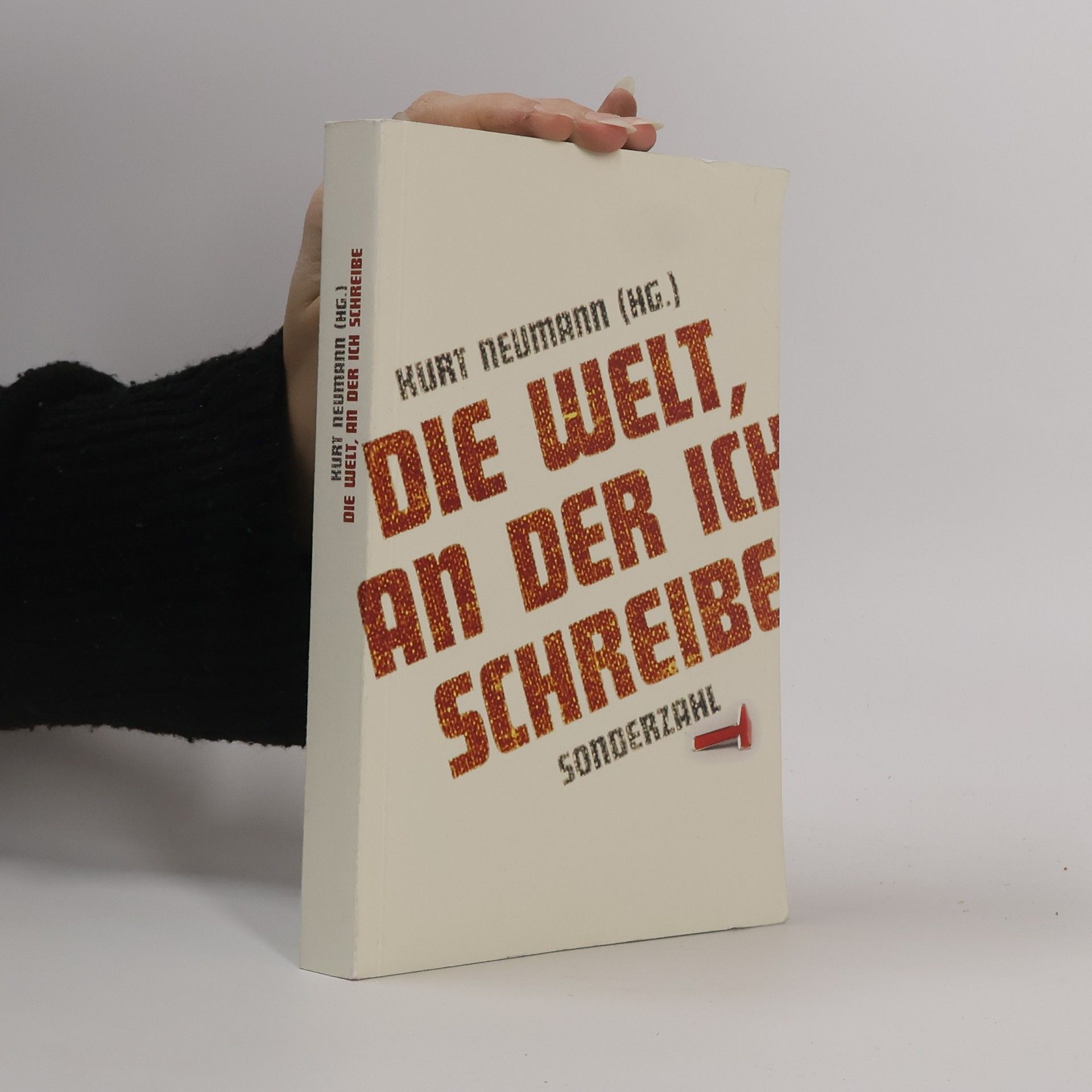 Die Welt, an der ich schreibe