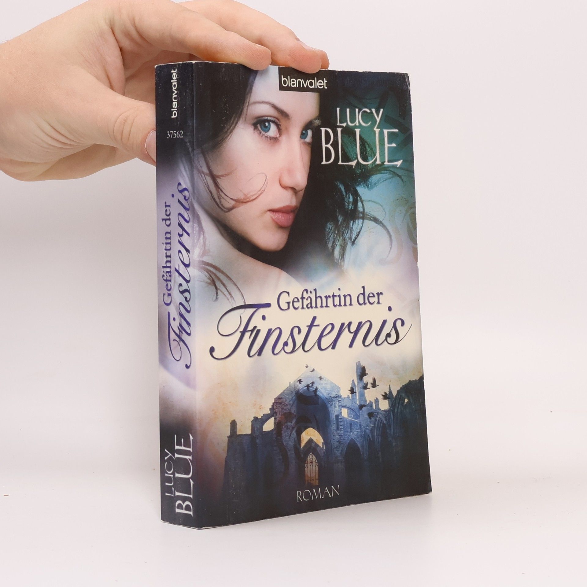 Lucy Blue Gefährtin der Finsternis