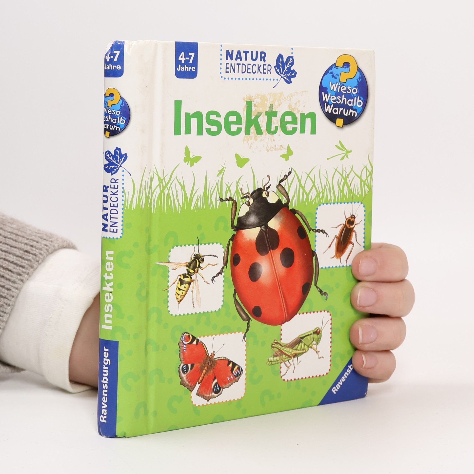 Insekten