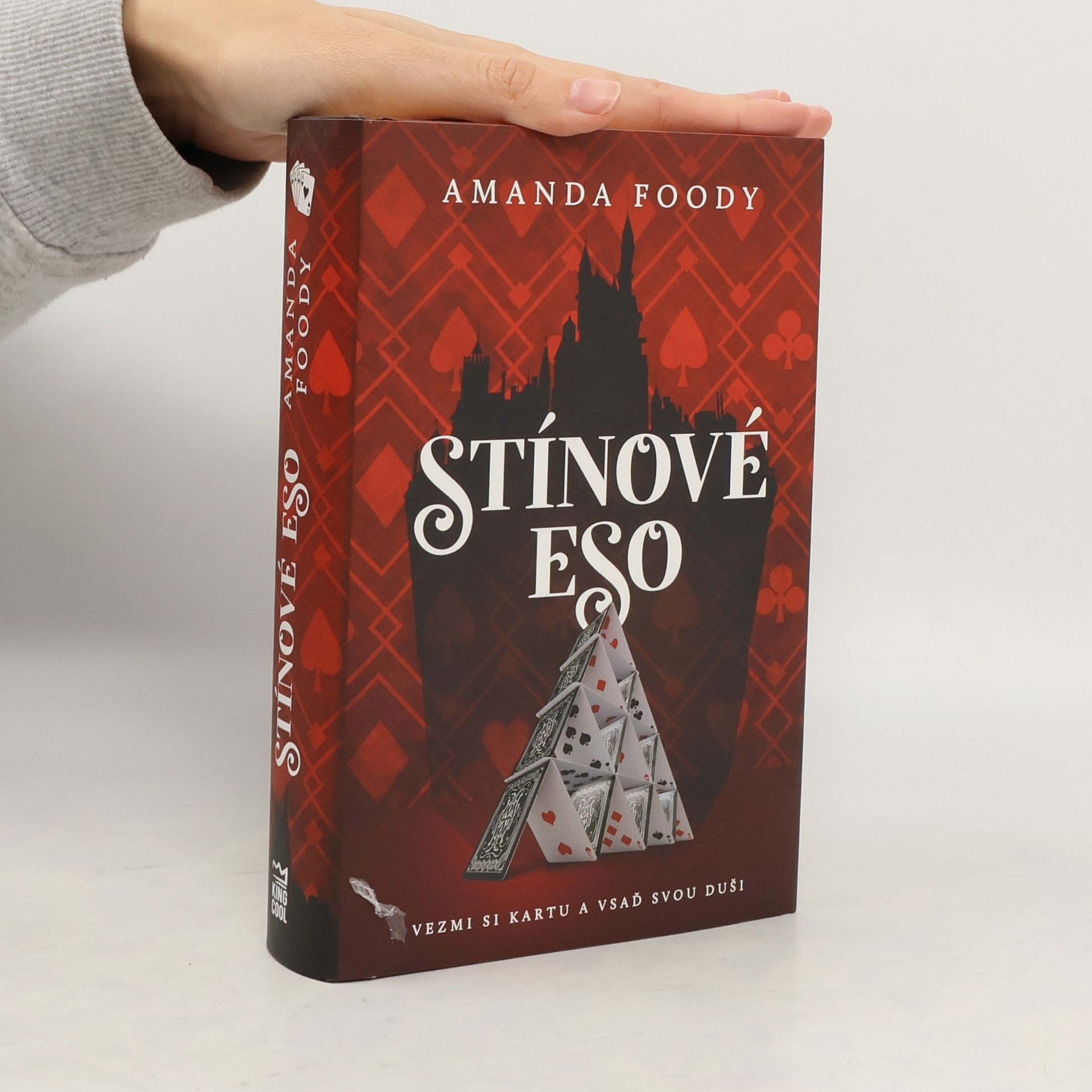 Amanda Foody Stínové eso