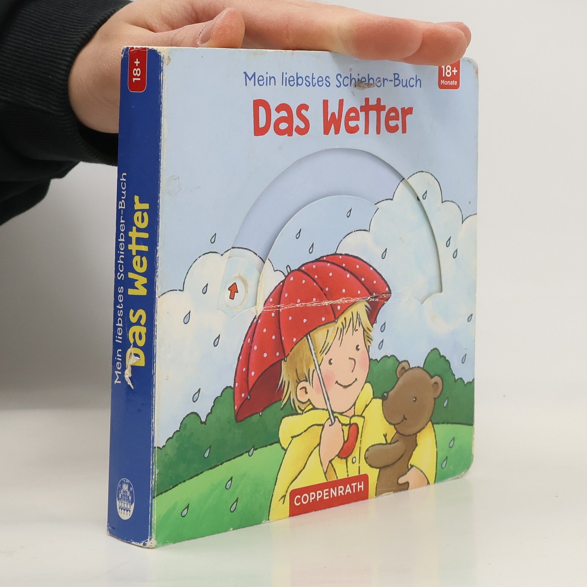 Sandra Grimm Mein liebstes Schieber-Buch: das Wetter