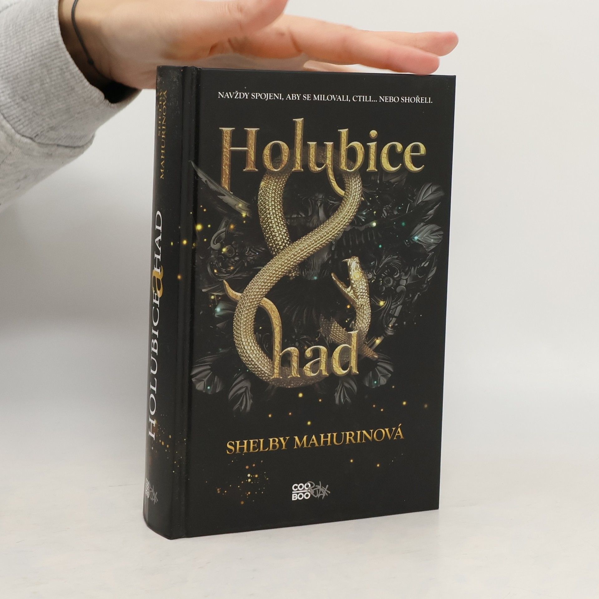 Shelby Mahurin Holubice a had