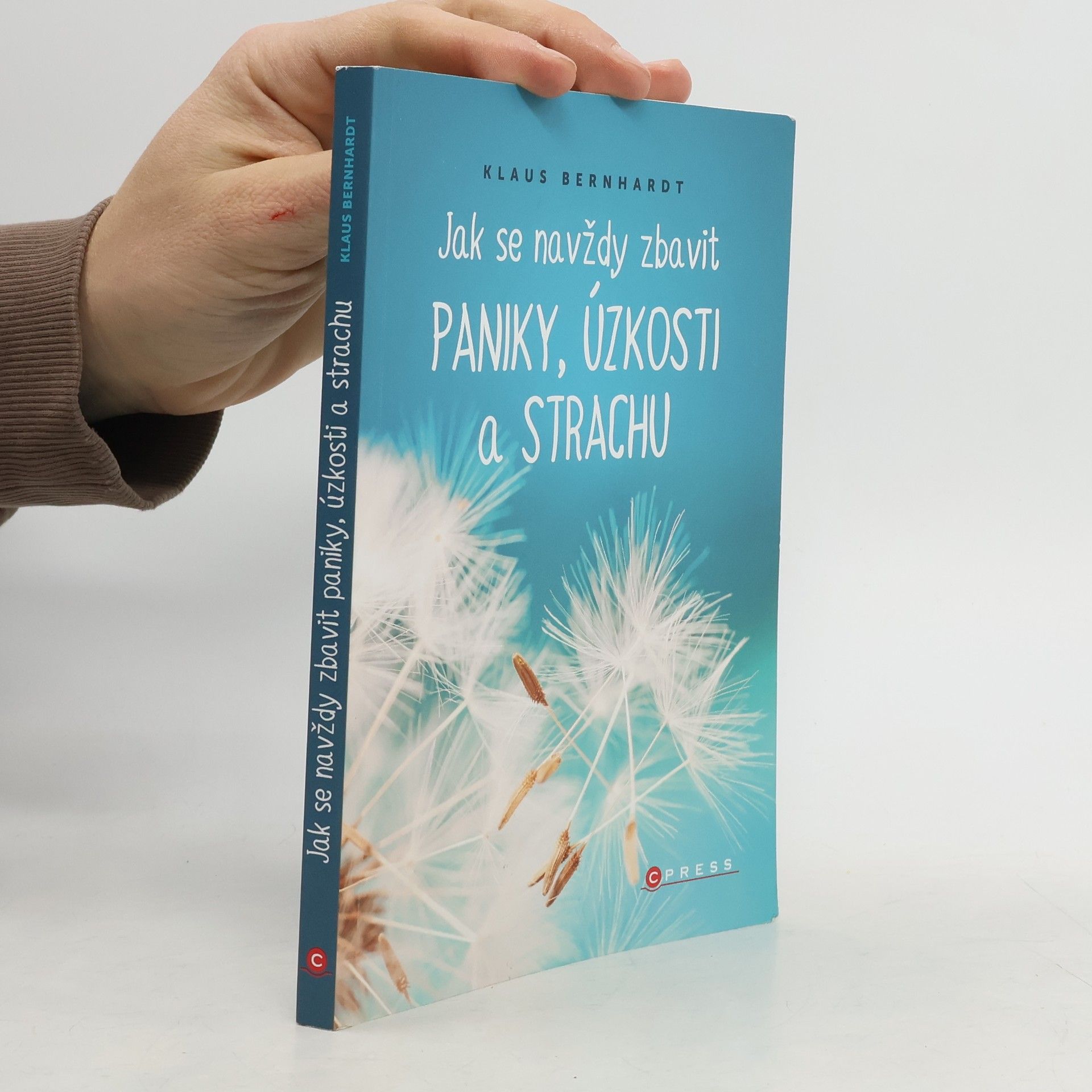 Klaus Bernhardt Jak se navždy zbavit paniky, úzkosti a strachu