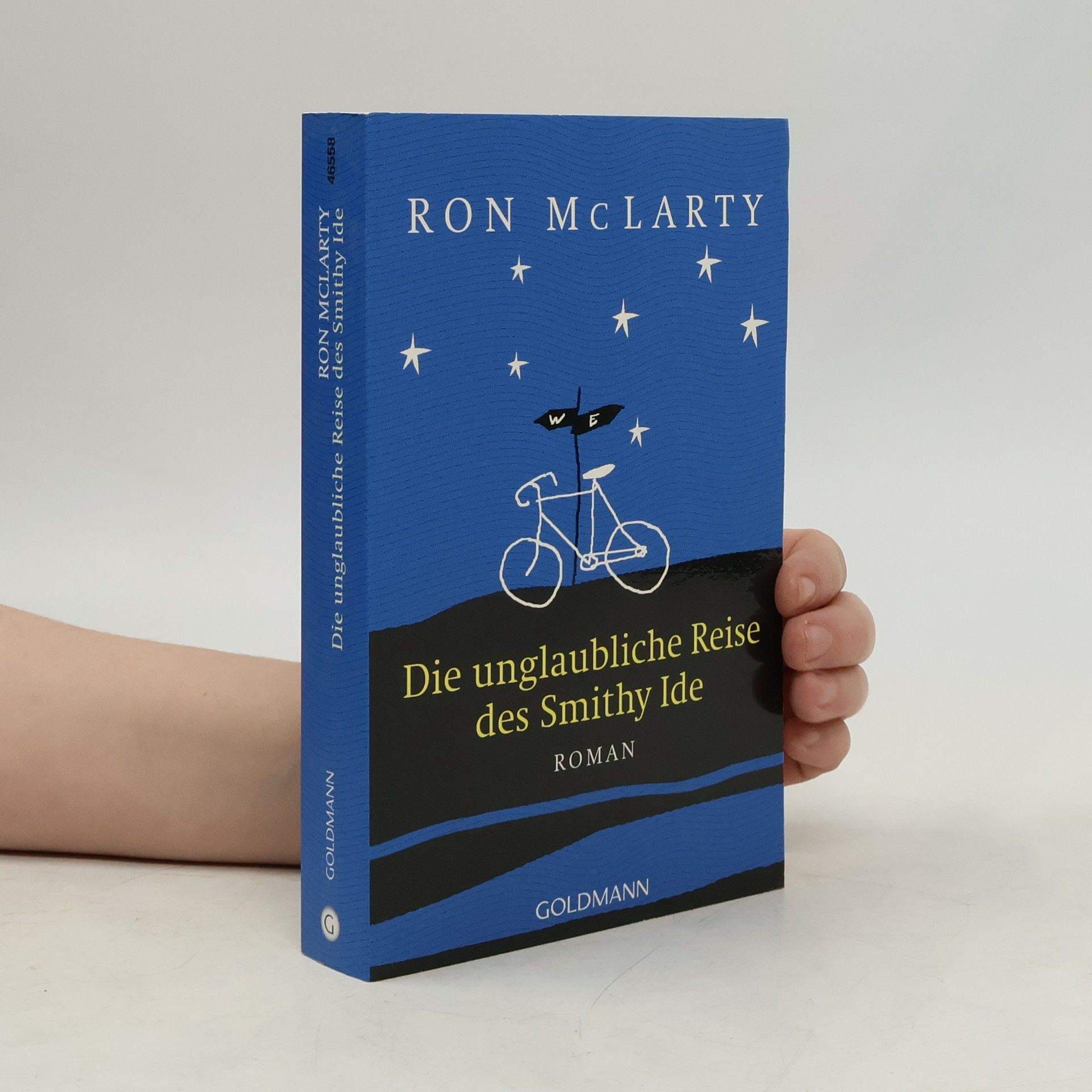 Ron McLarty Die unglaubliche Reise des Smithy Ide
