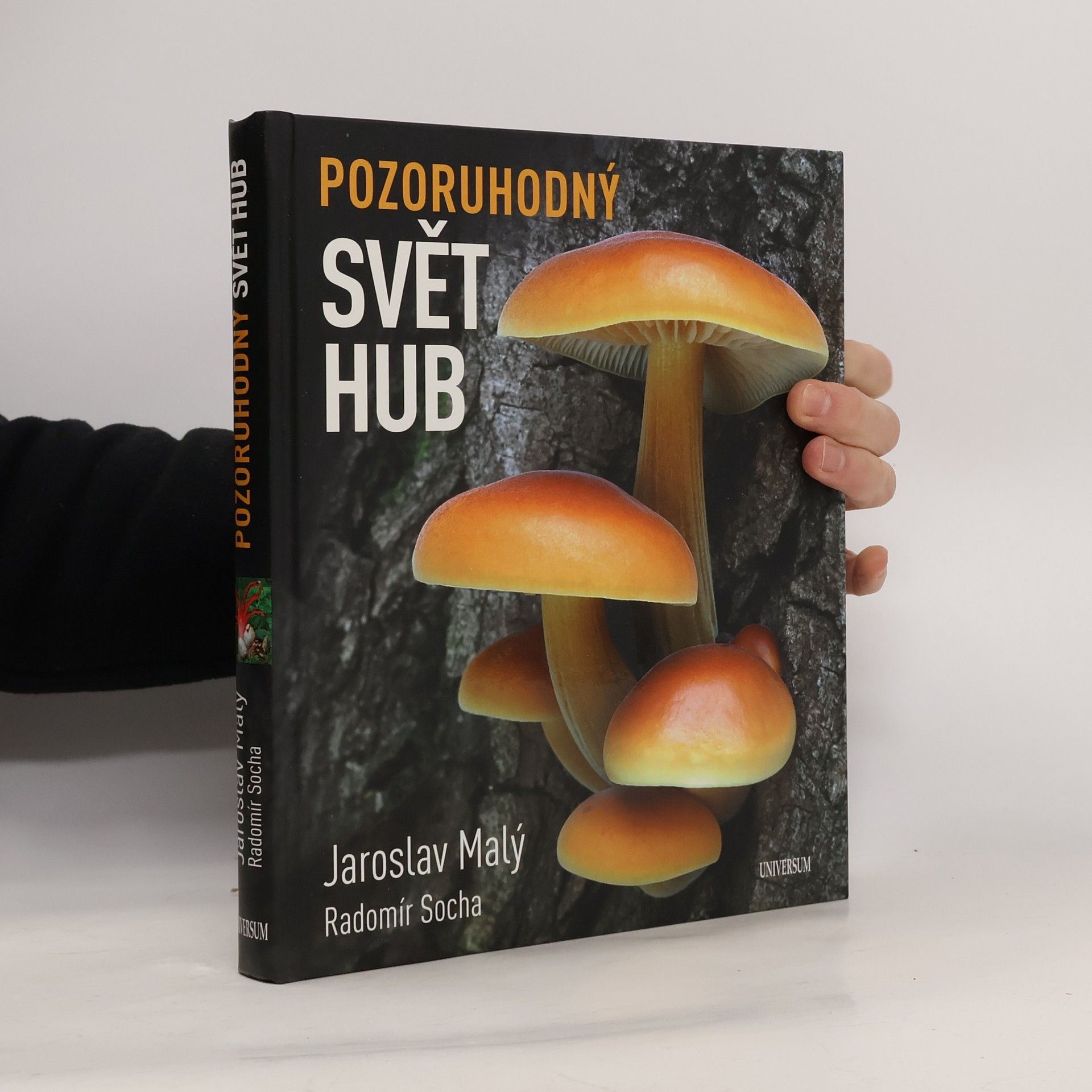 Radomír Socha Pozoruhodný svět hub