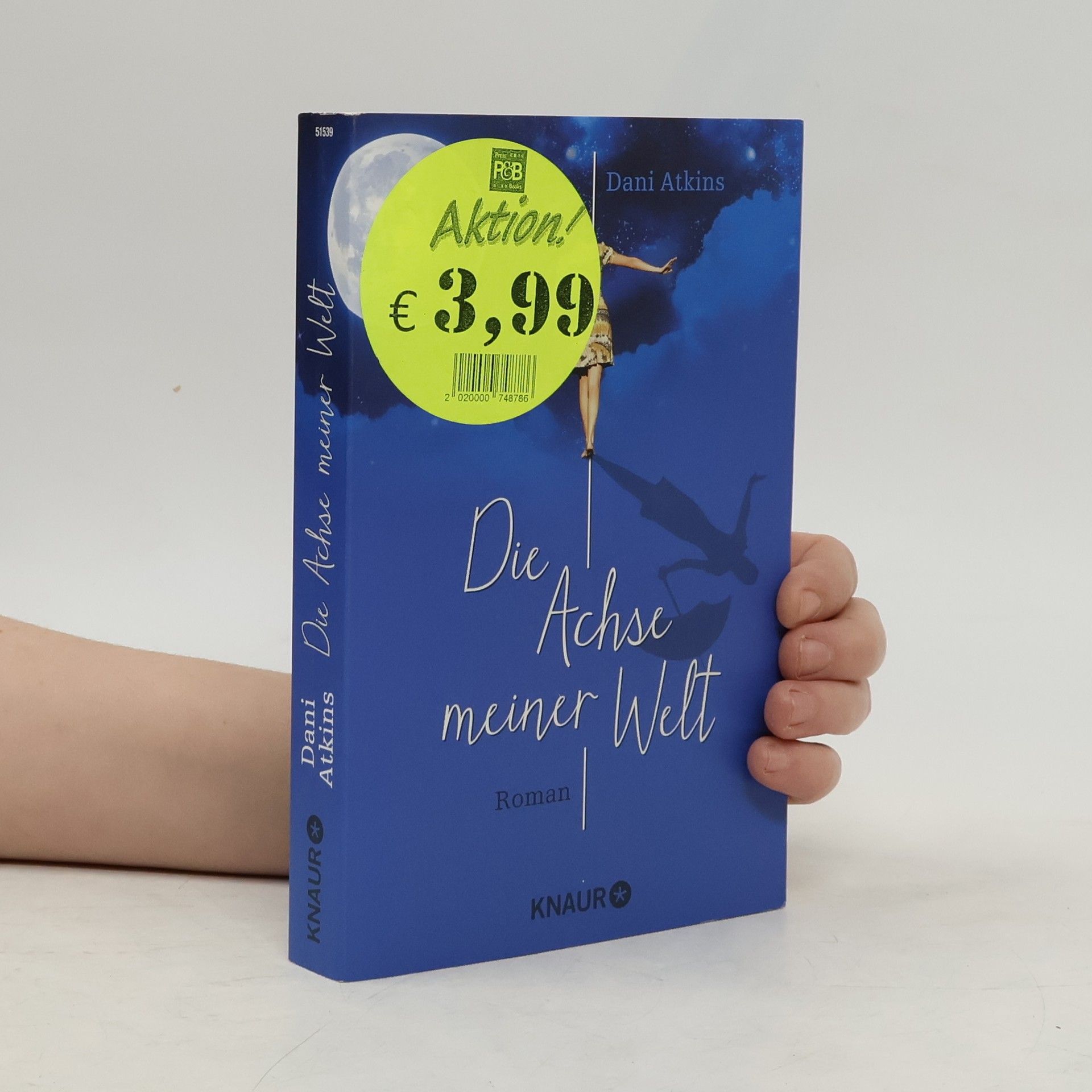 Dani Atkins Die Achse meiner Welt