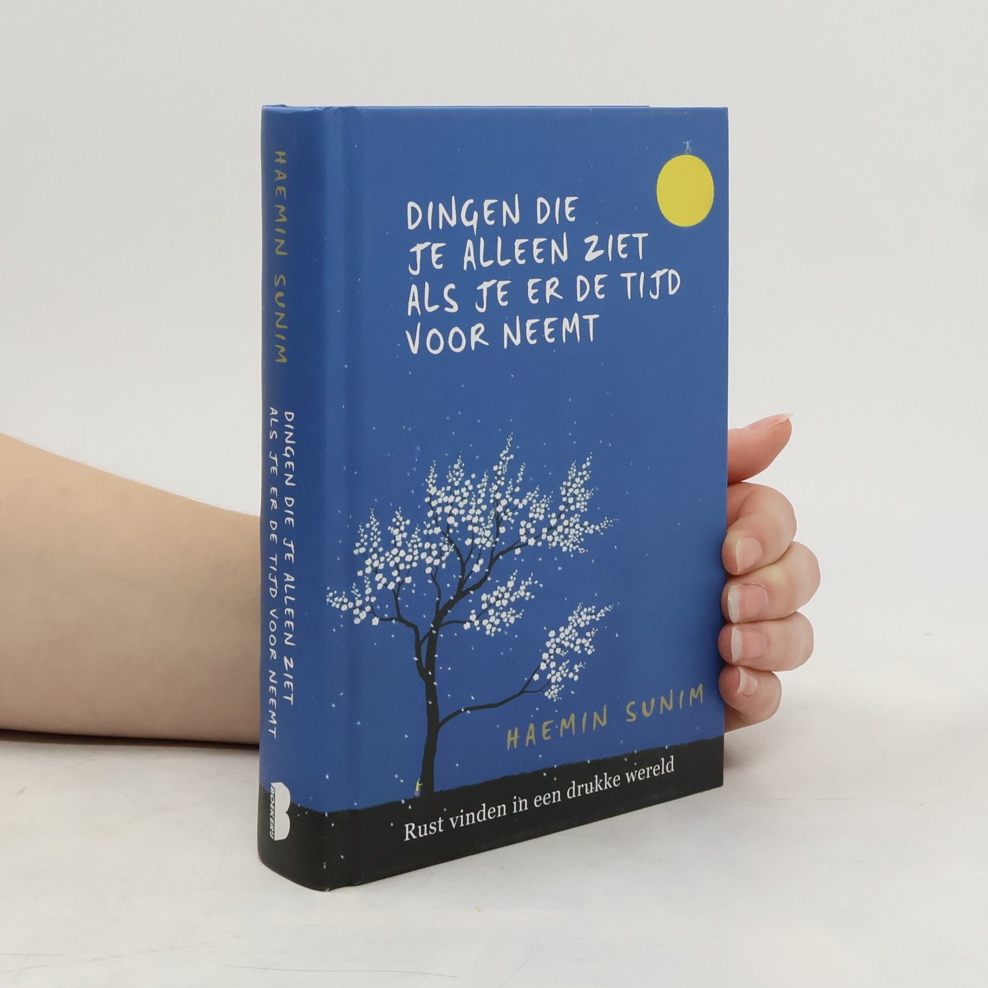 Sunim Haemin Dingen die je alleen ziet als je er de tijd voor neemt