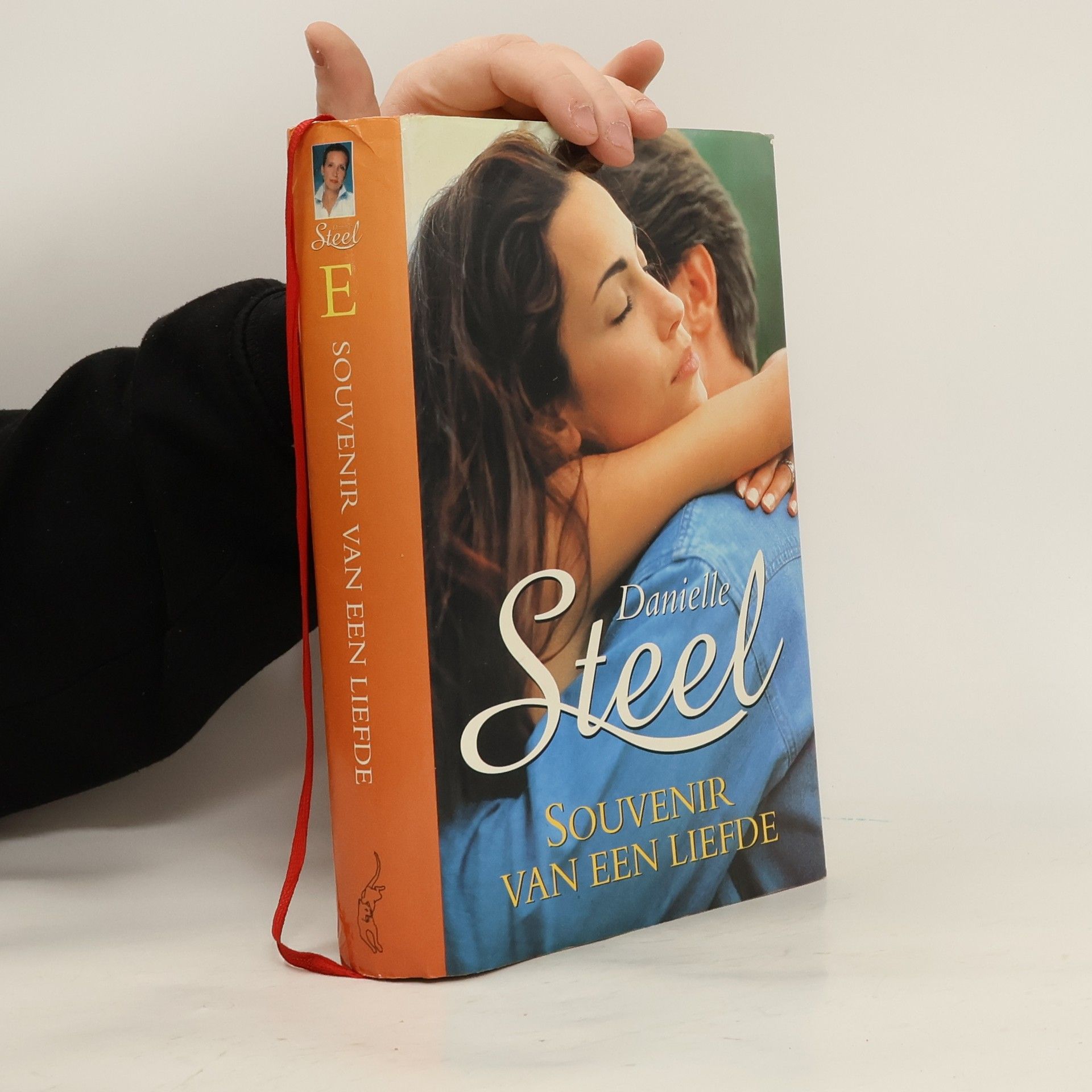 Danielle Steel Souvenir van een liefde