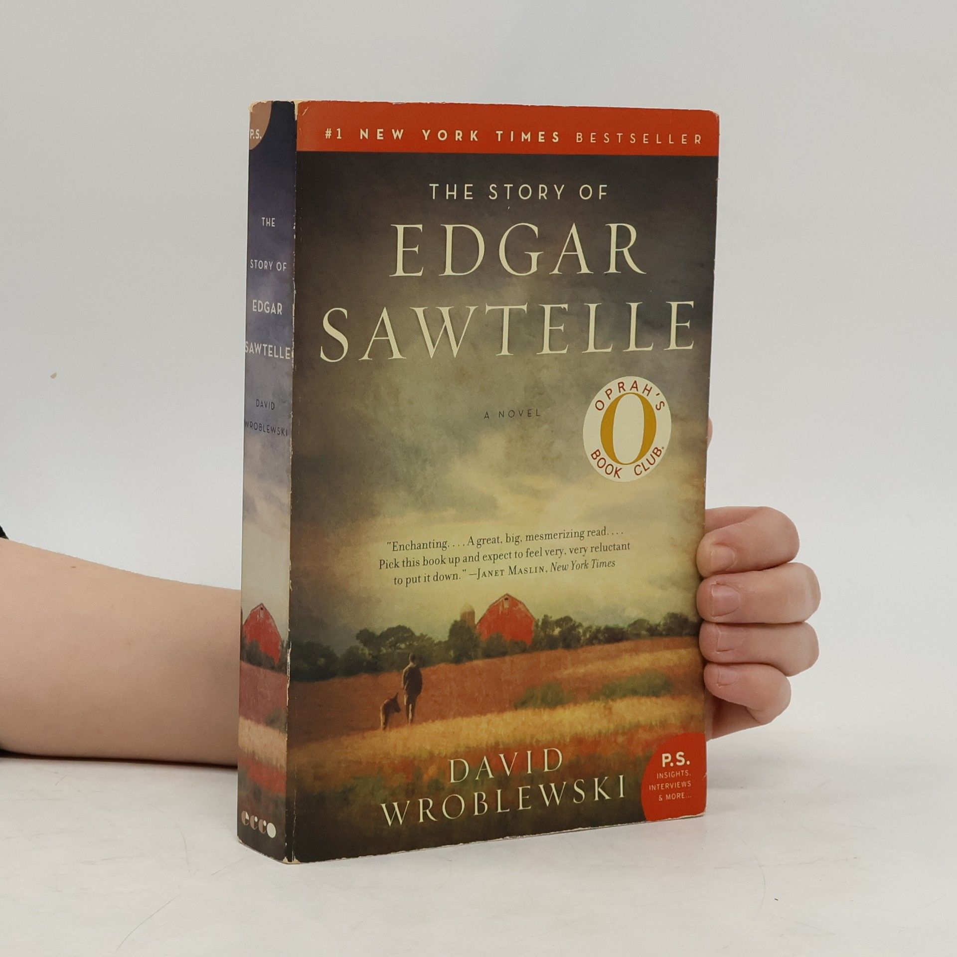 David Wroblewski The story of Edgar Sawtelle