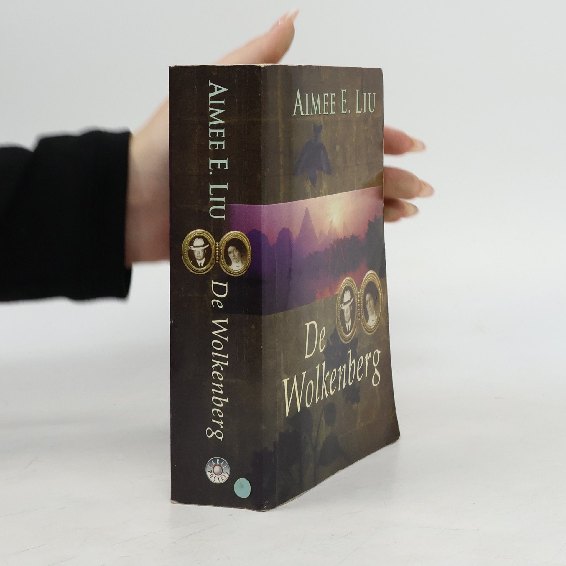 Aimee E. Liu De wolkenberg