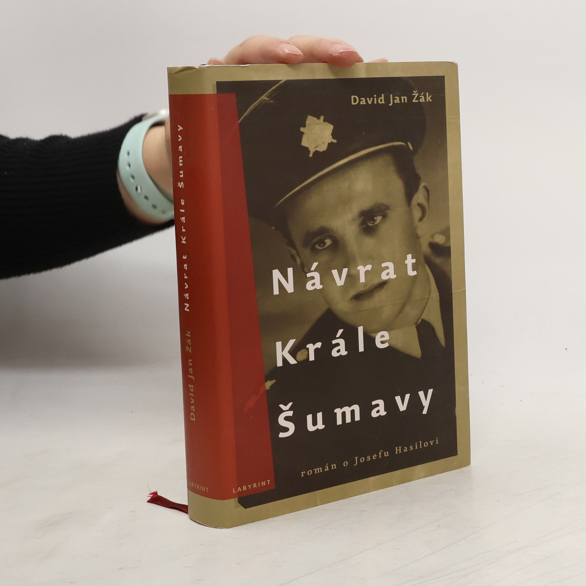 David Jan Žák Návrat Krále Šumavy