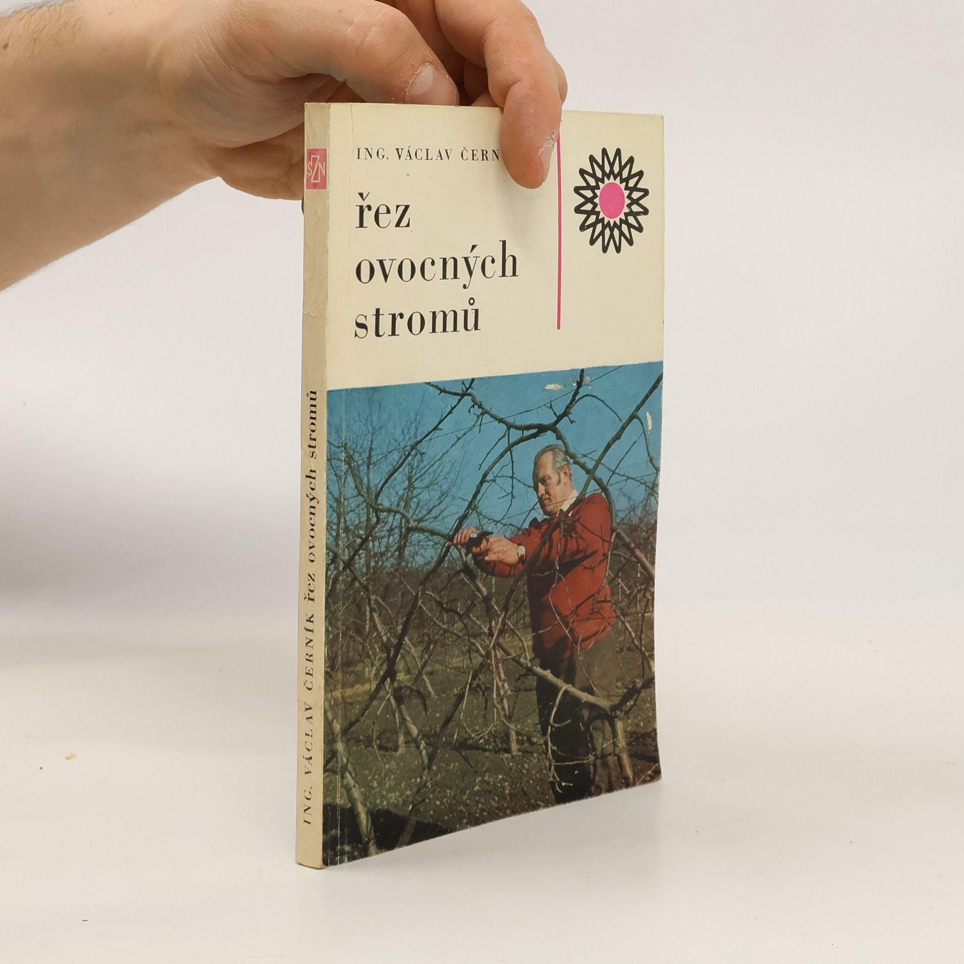 Řez ovocných stromů