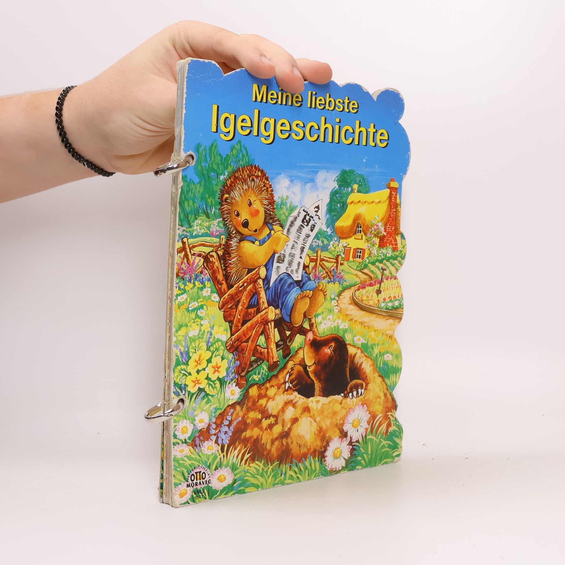 Autorenkollektiv Meine liebste Igelgeschichte