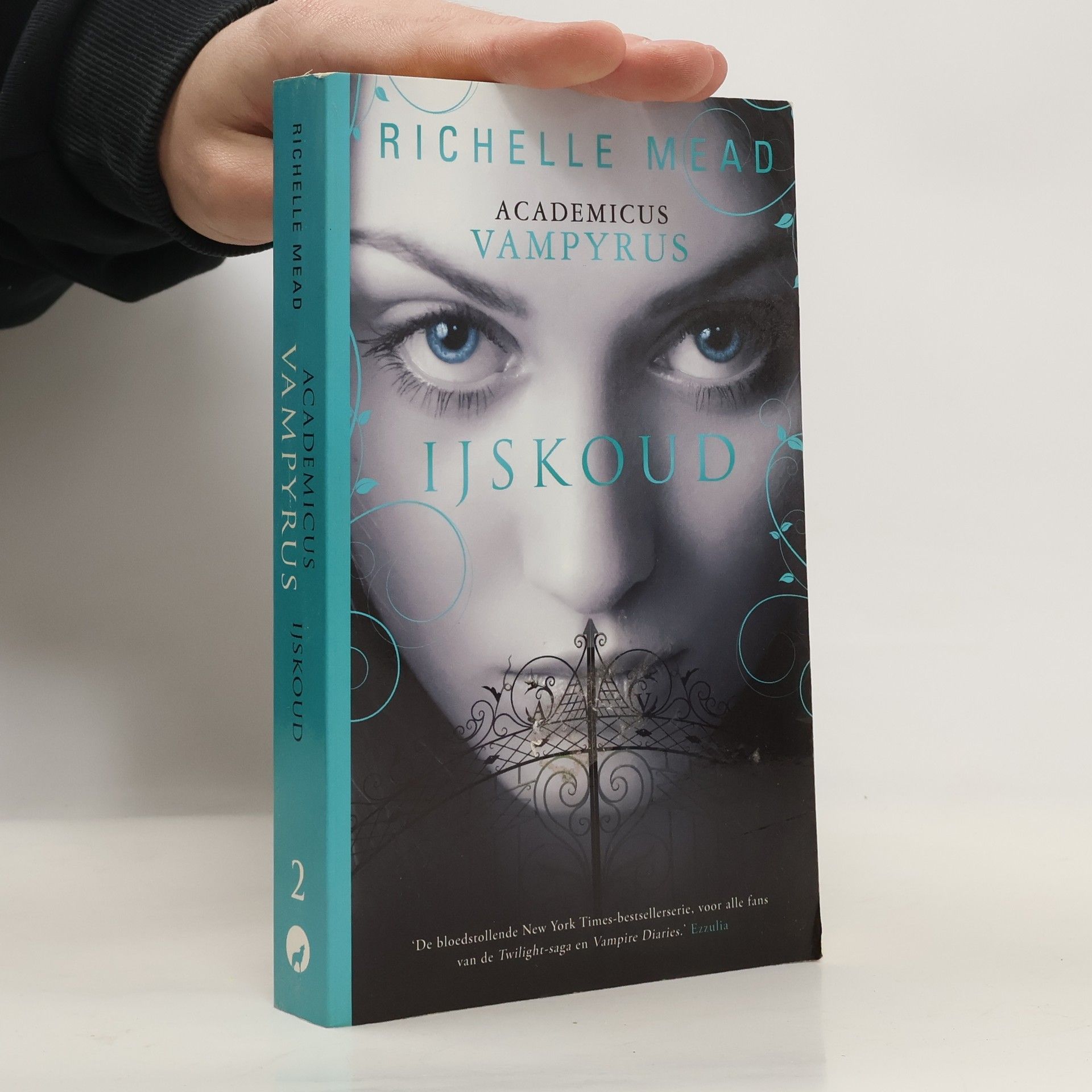 Richelle Mead IJskoud