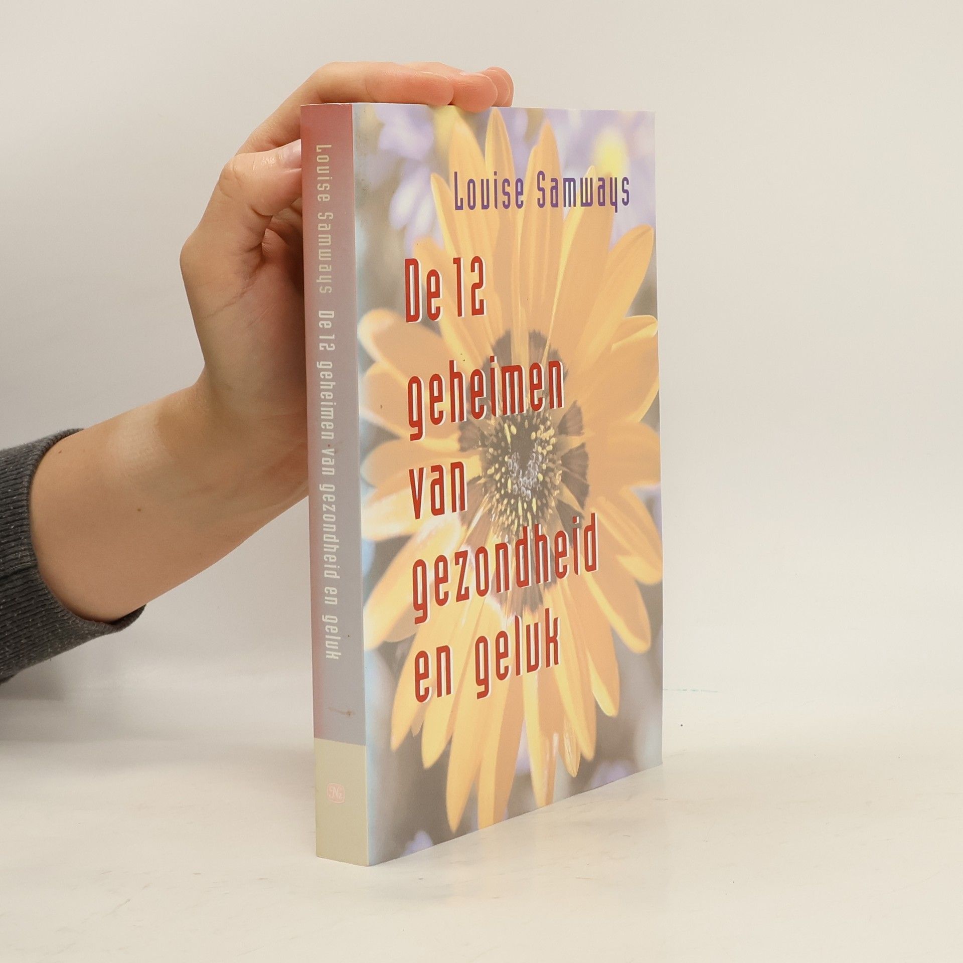 Louise Samways De 12 geheimen van gezondheid en geluk