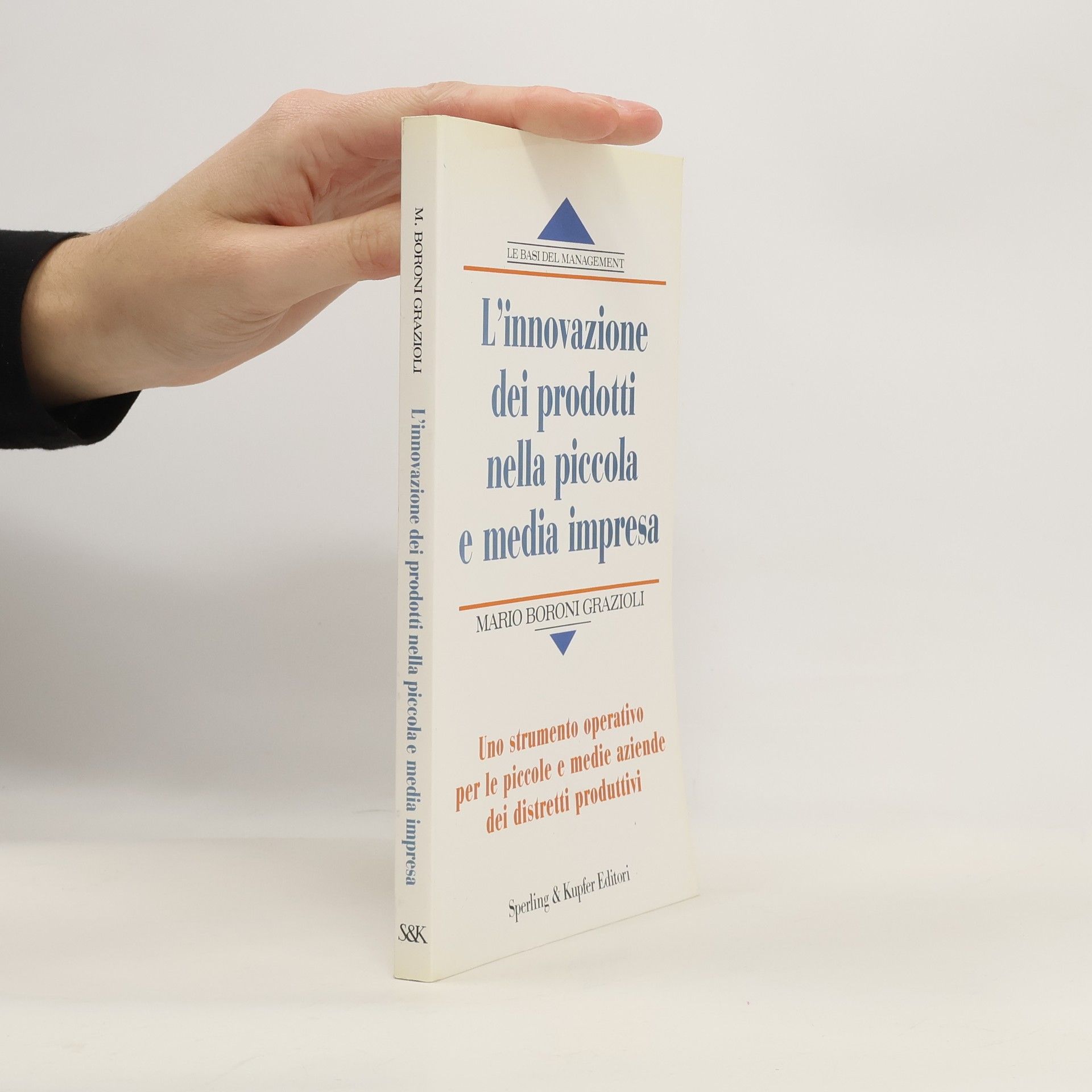 Mario Boroni Grazioli L'innovazione dei prodotti nella piccola e media impresa