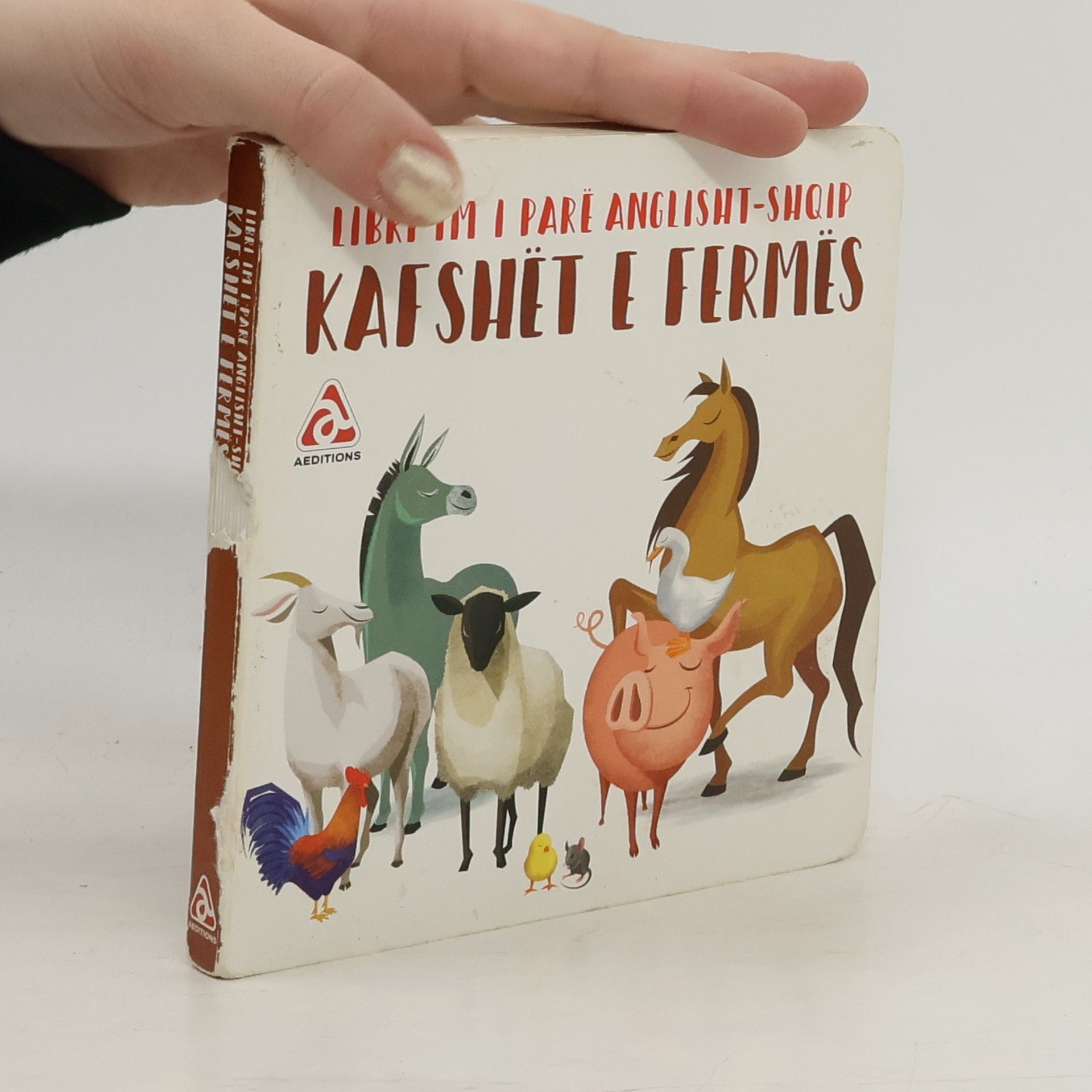 Kolektiv autorů Libri im i parë Anglisht-Shqip