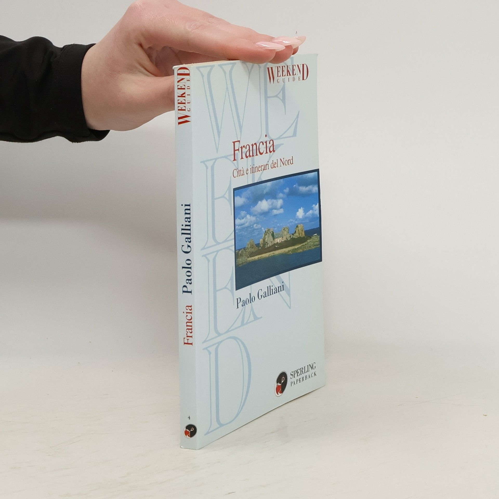 Paolo Galliani Francia. Città e itinerari del Nord