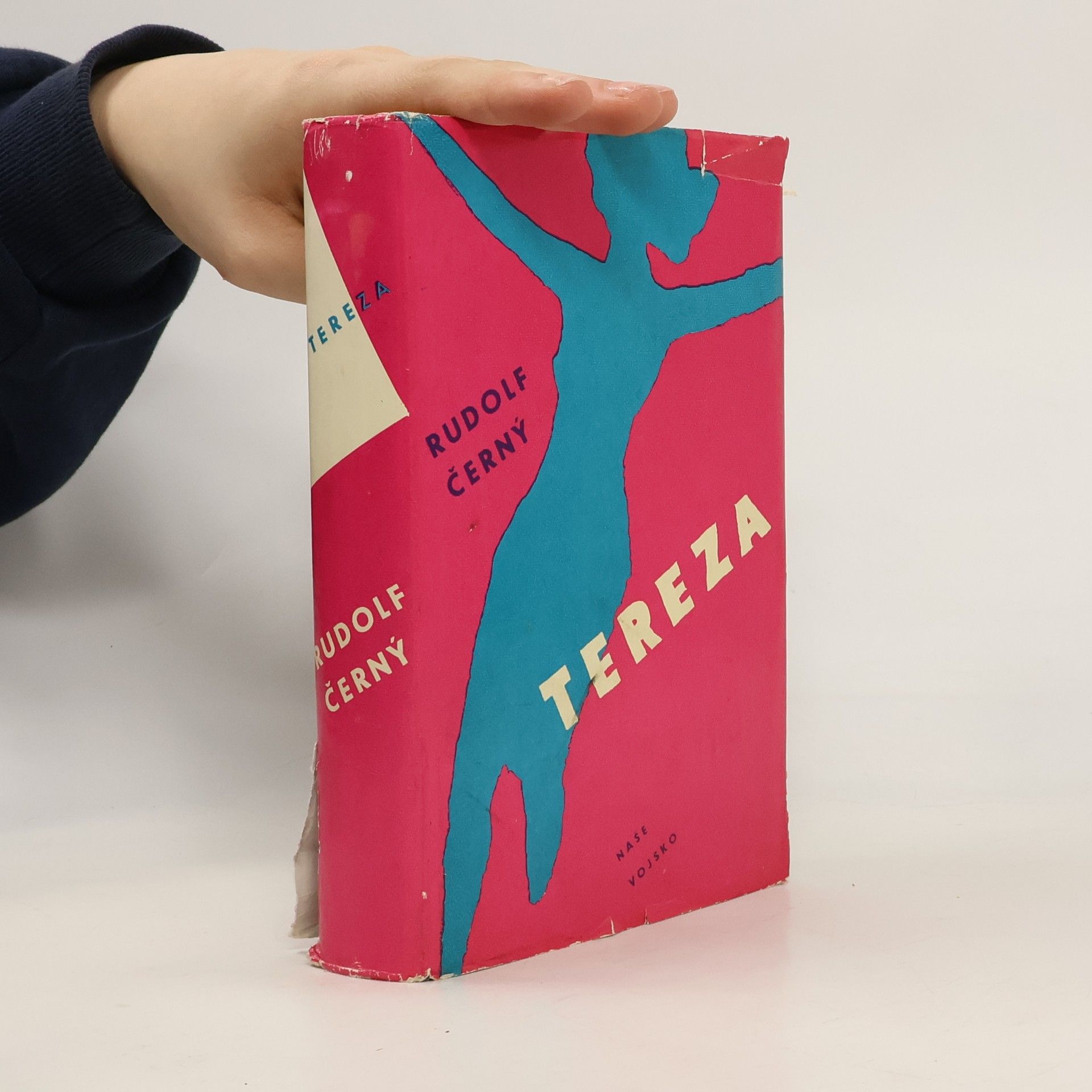 Rudolf Černý Tereza