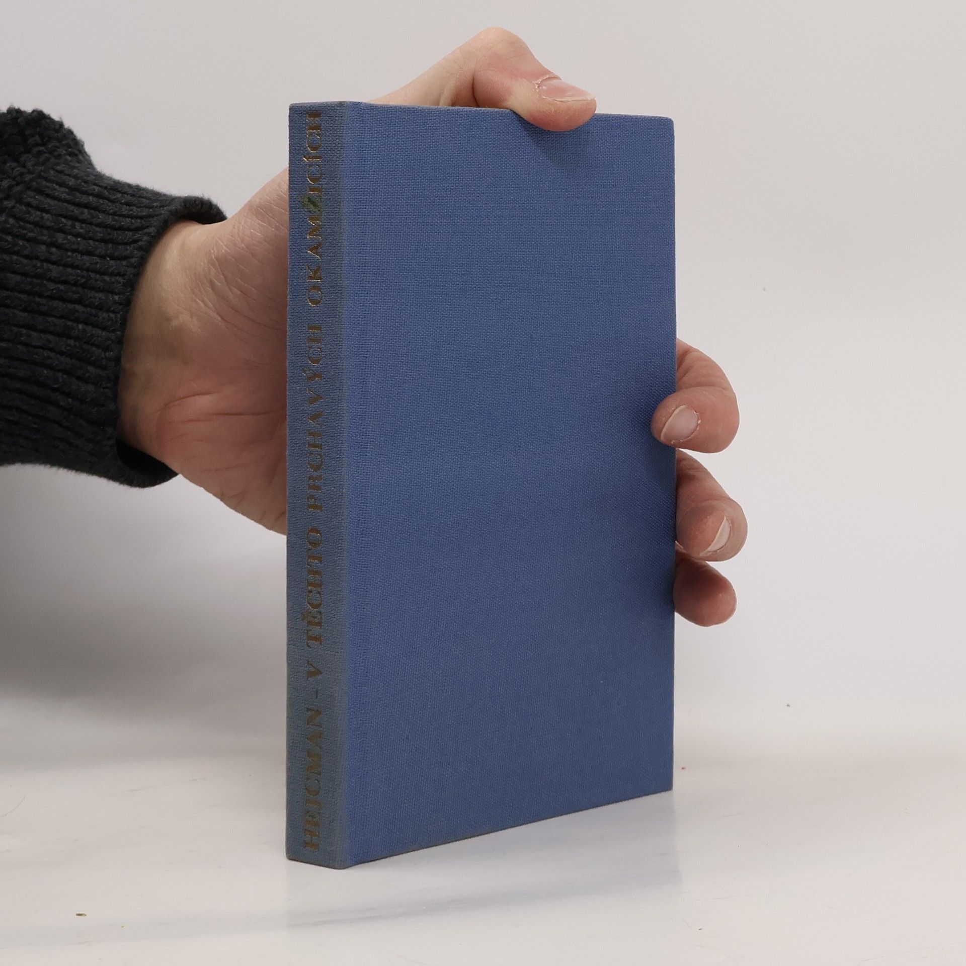 Pavel Hejcman V těchto prchavých okamžicích