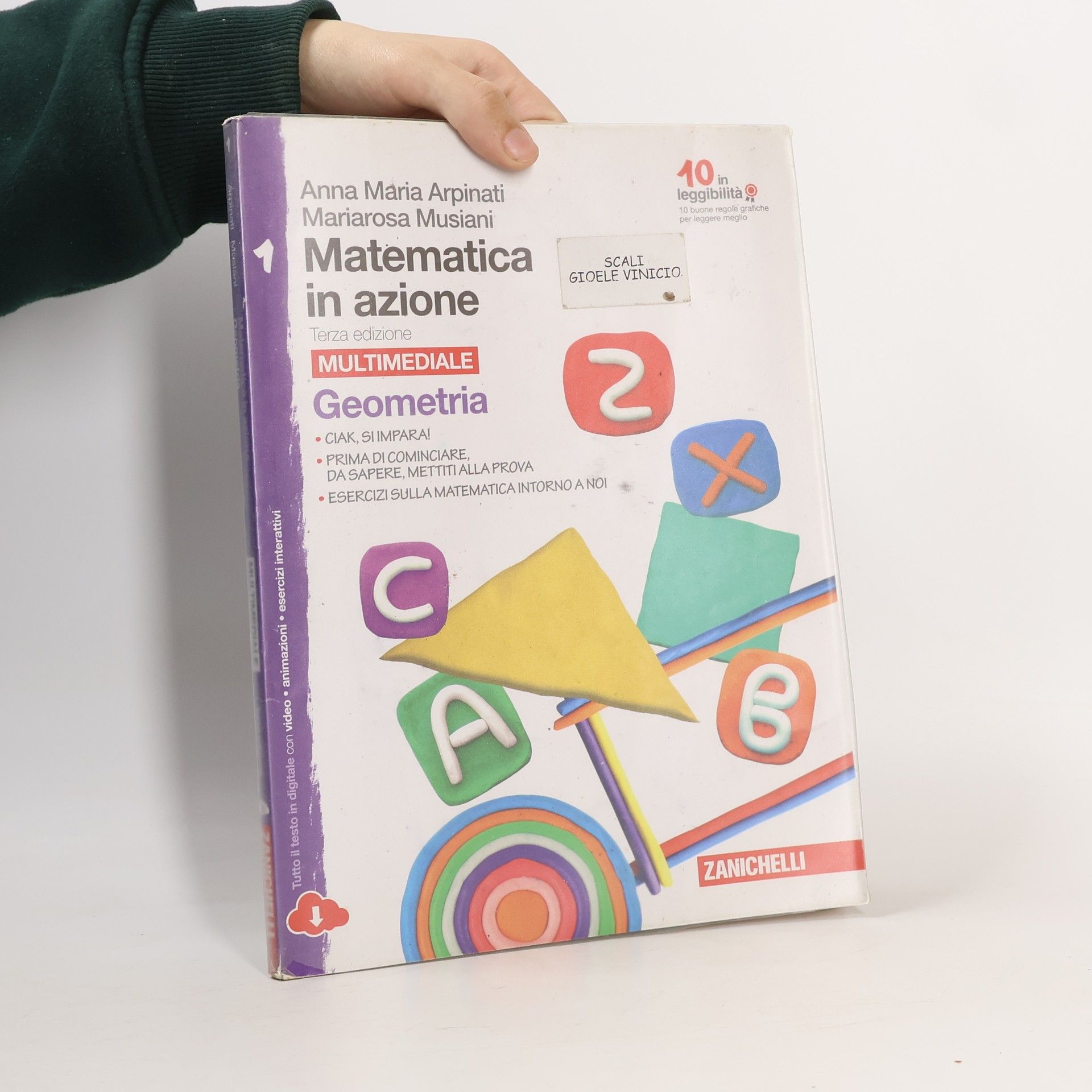 Matematica in azione. Multimediale. Geometria