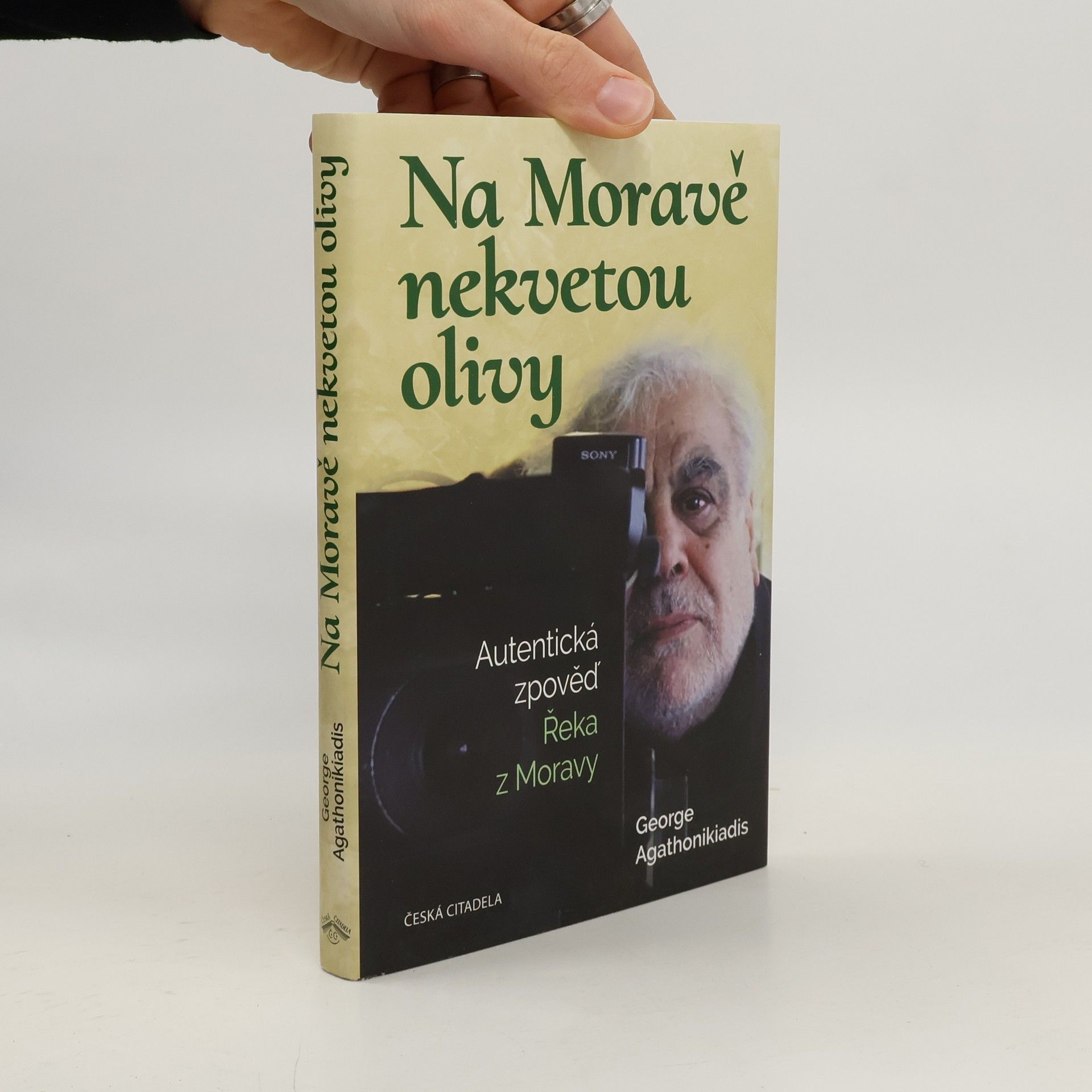 Na Moravě nekvetou olivy