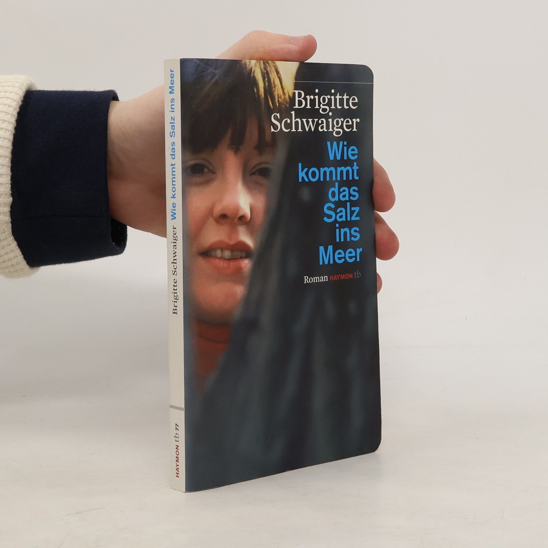 Brigitte Schwaiger Wie kommt das Salz ins Meer