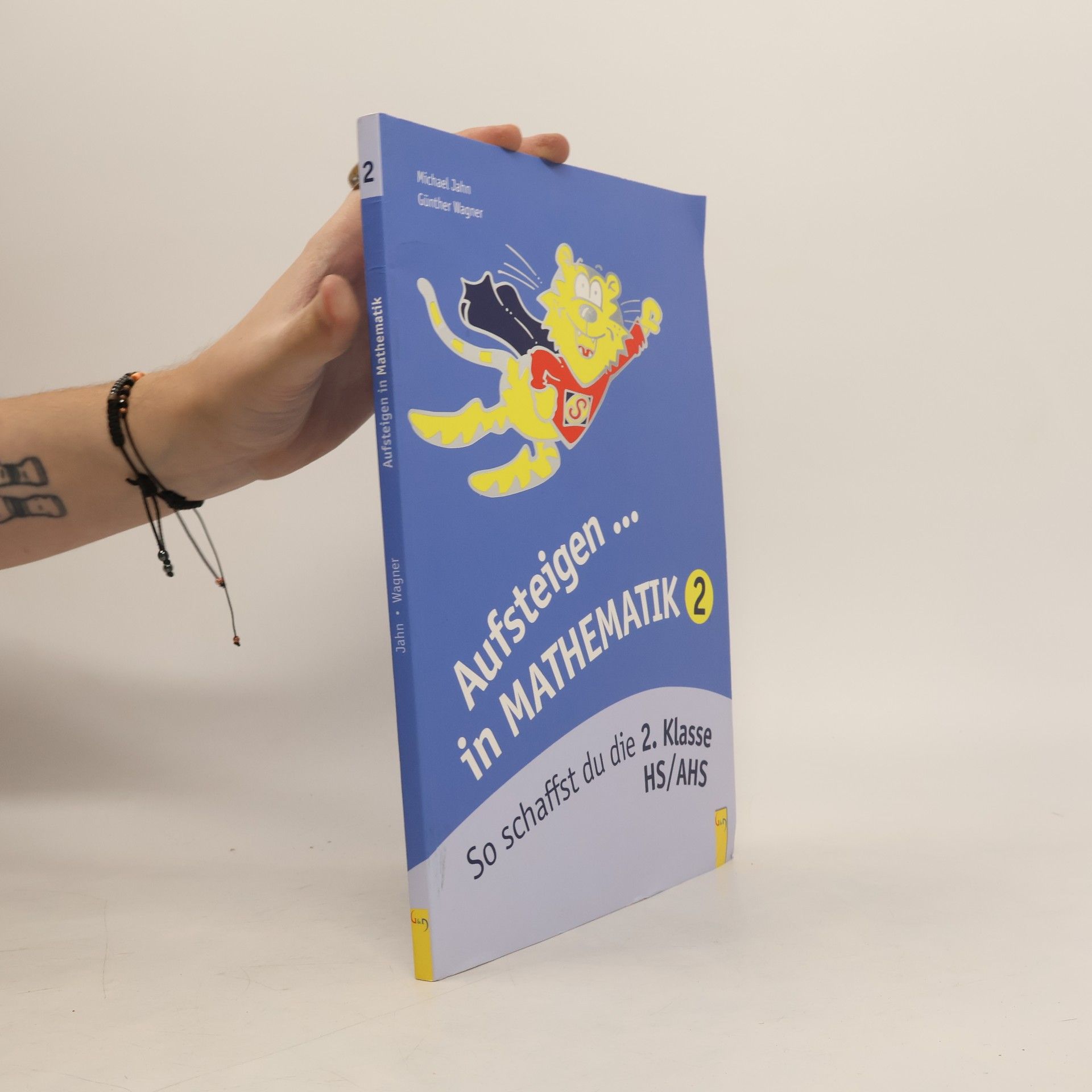 Aufsteigen in Mathematik 2