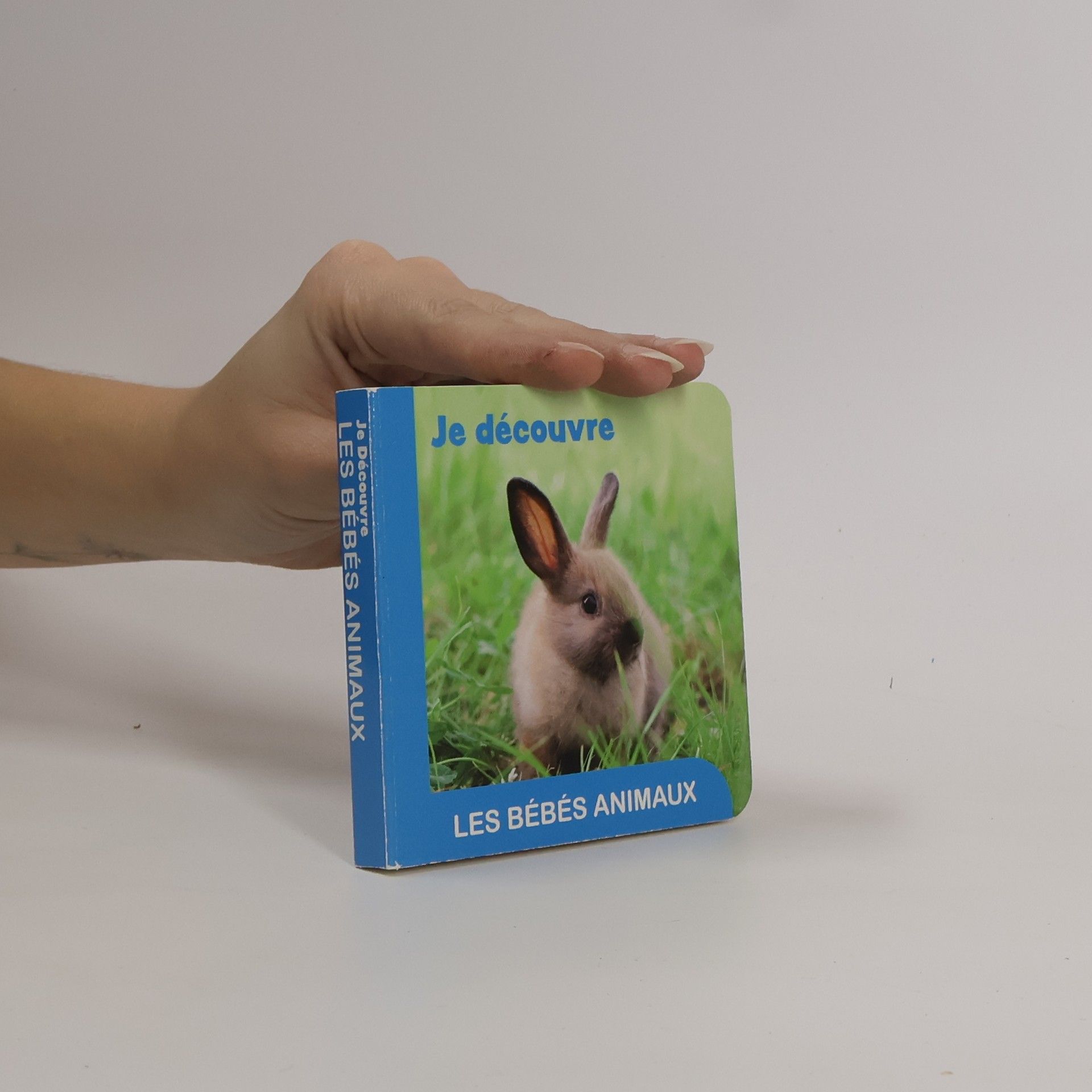 Collectif d'auteurs Je découvre les bébés animaux