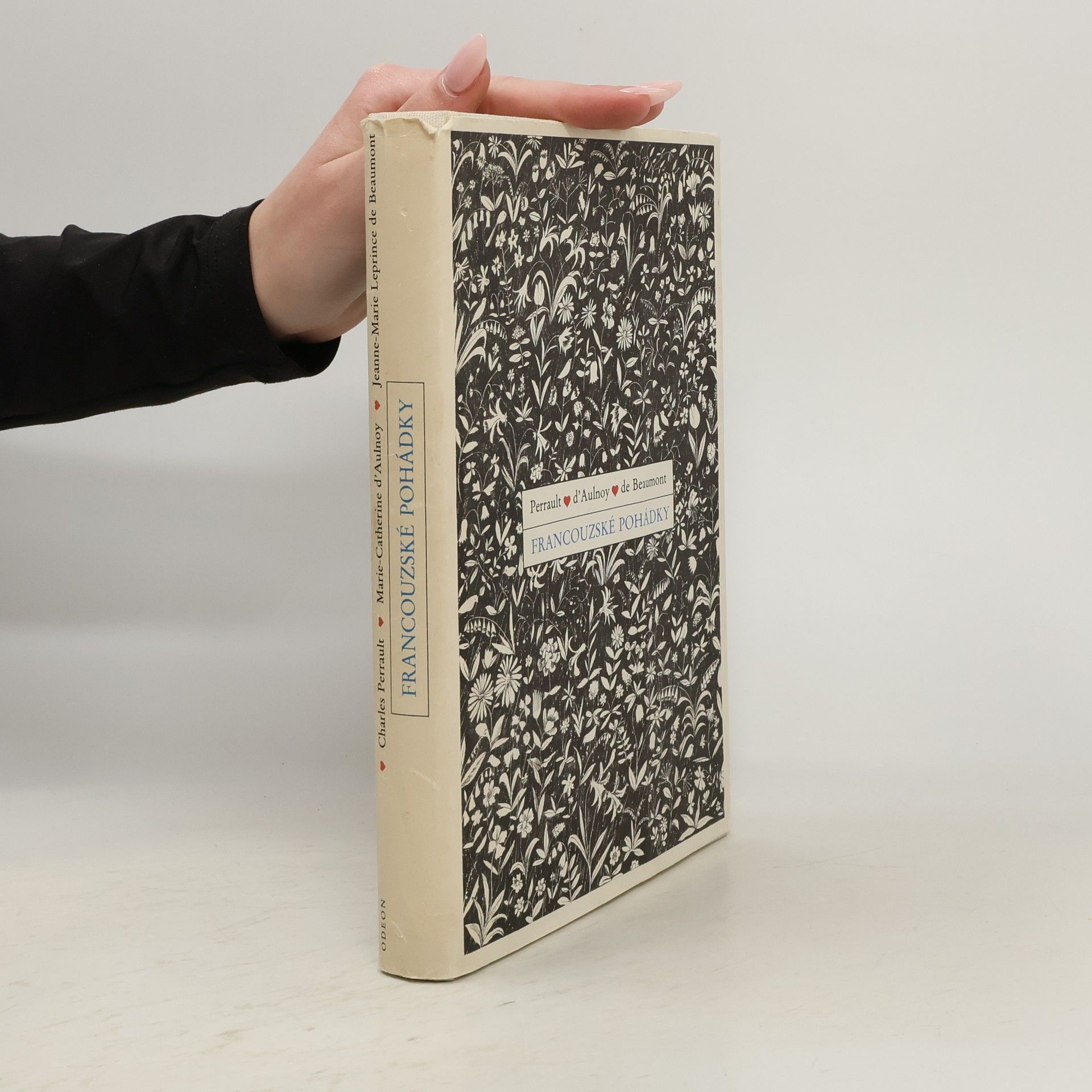 Autorenkollektiv Francouzské pohádky