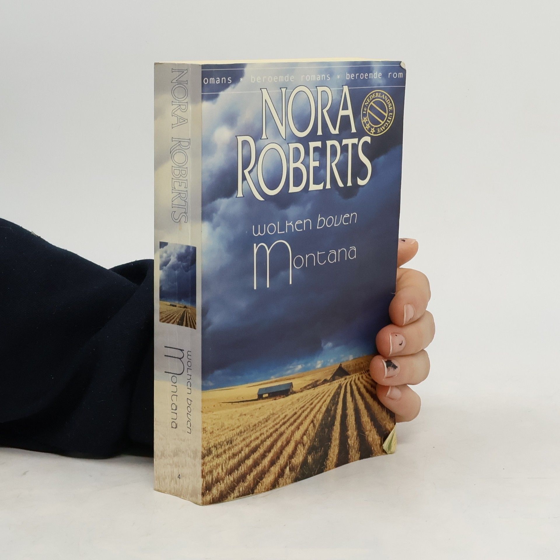 Karin Schuitemaker Wolken boven Montana