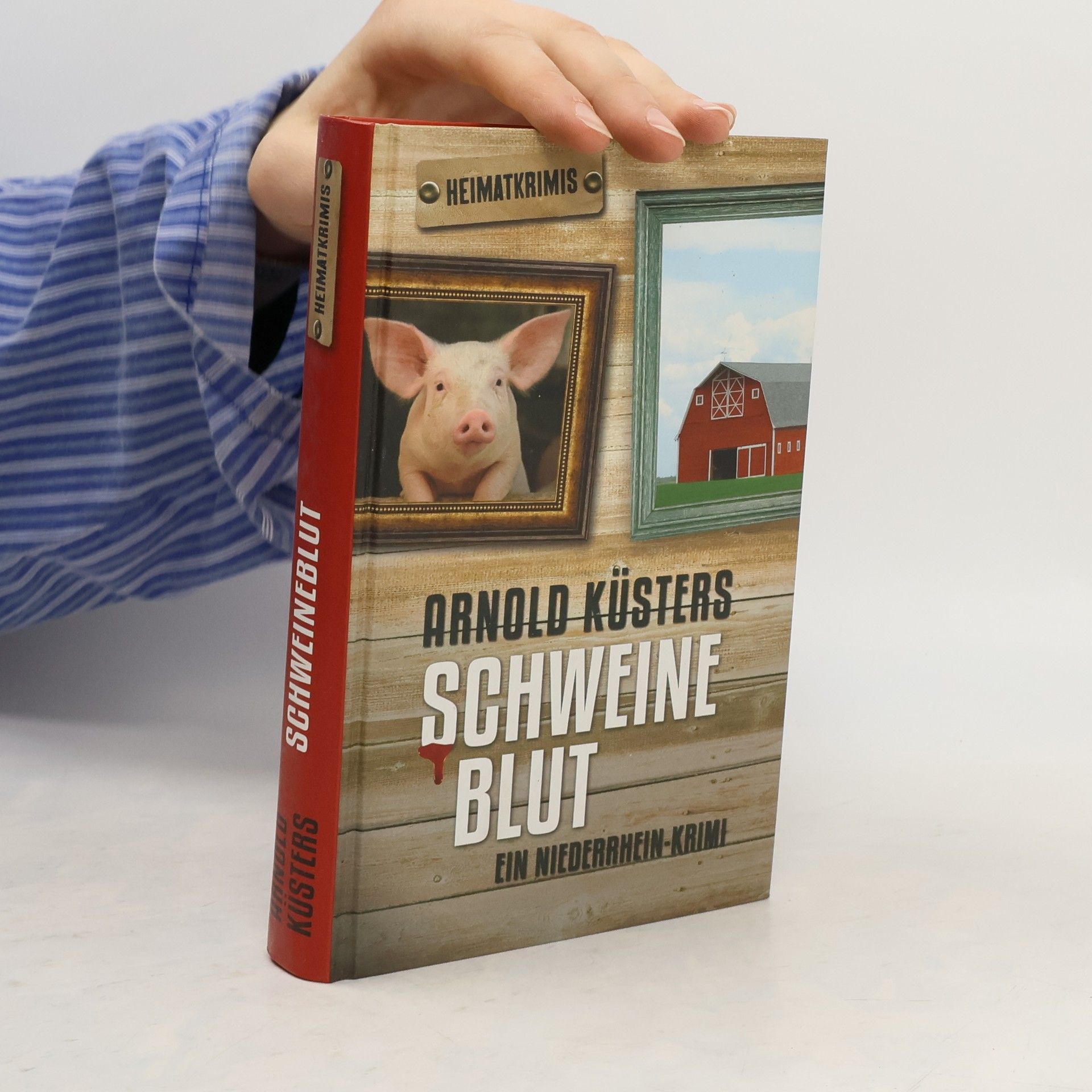Arnold Küsters Schweineblut. Ein Niederrhein-Krimi