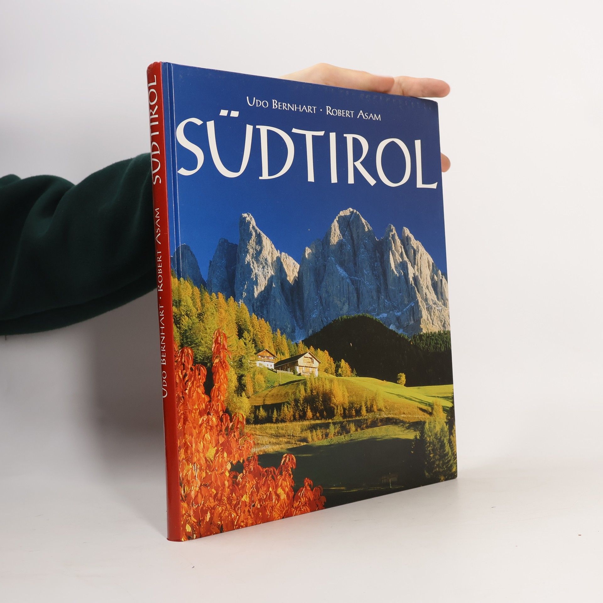 Udo Bernhart Südtirol