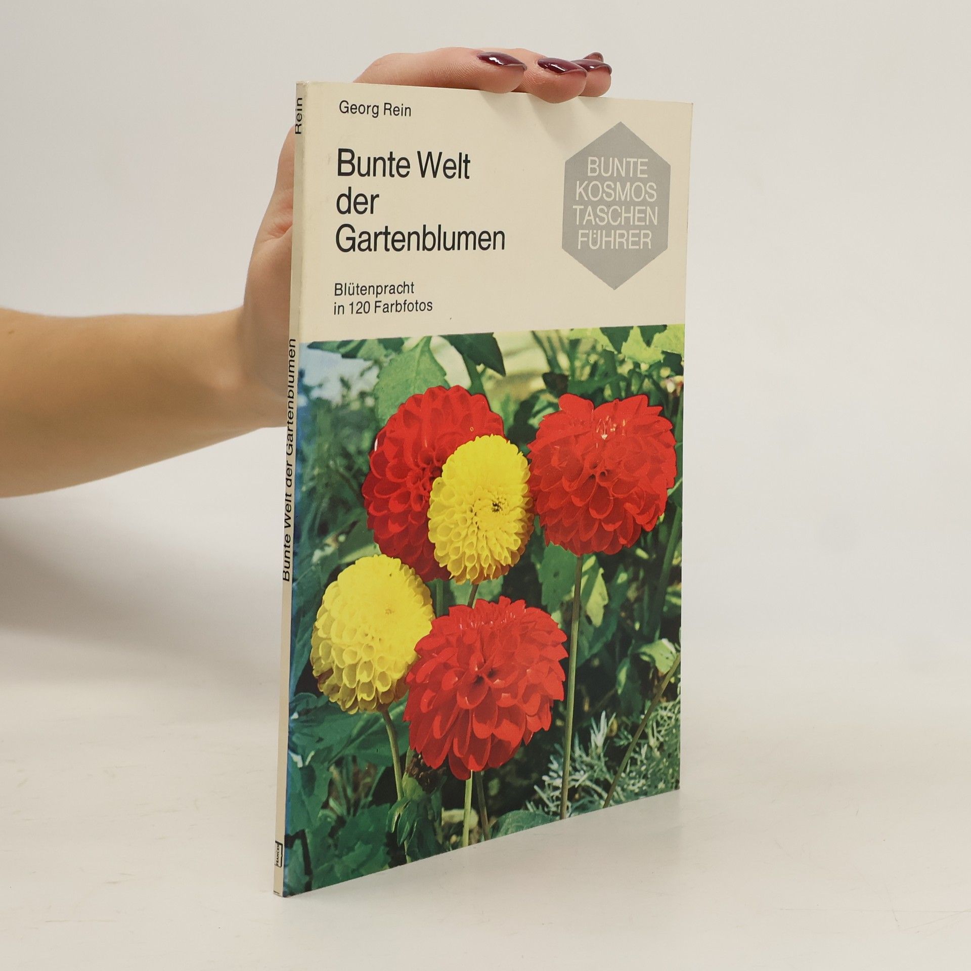 Georg Rein Bunte Welt der Gartenblumen
