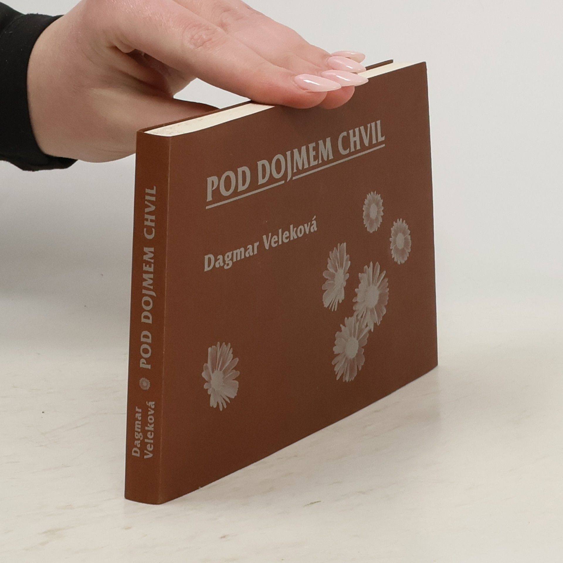 Dagmar Veleková Pod dojmem chvil