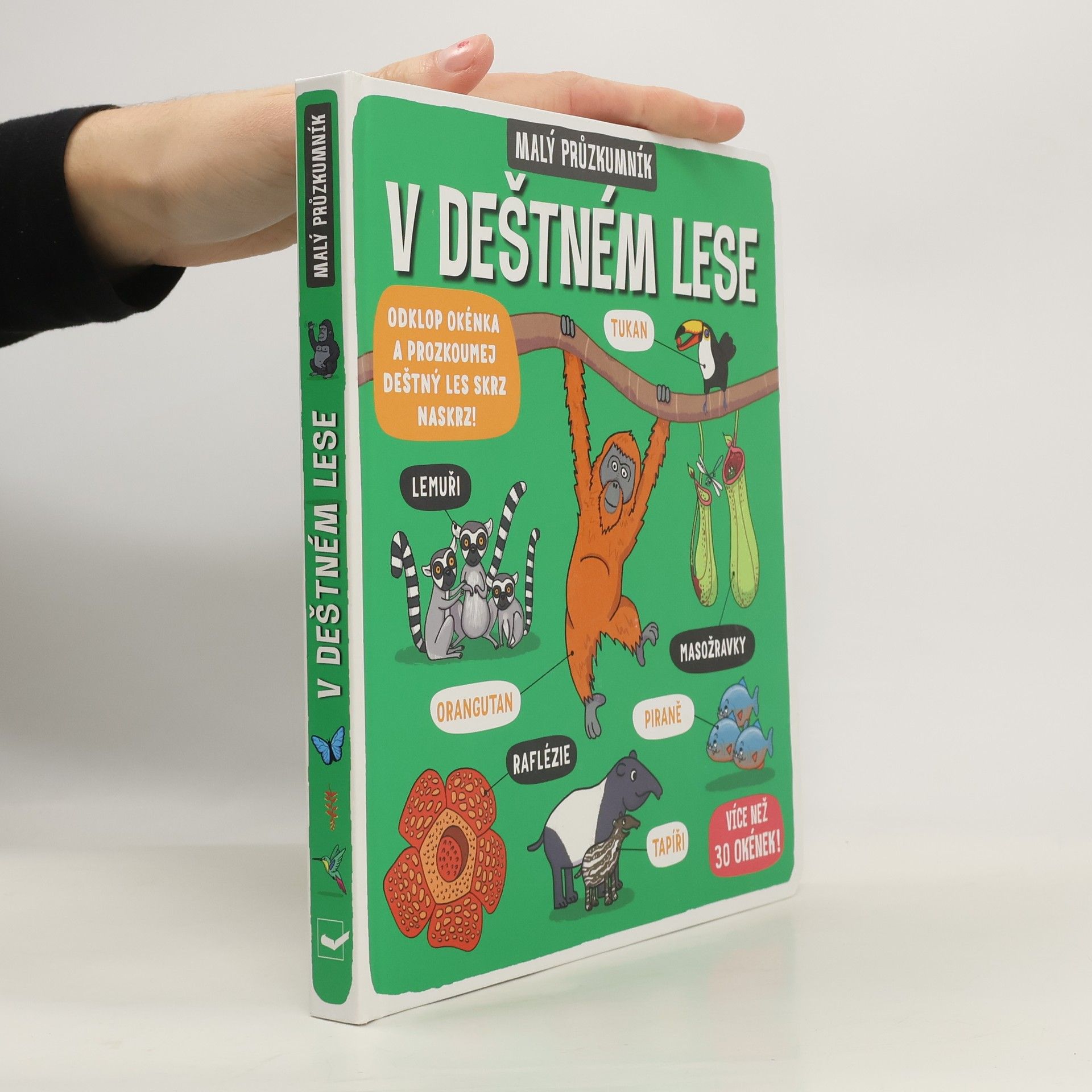 Autorenkollektiv Malý průzkumník: V deštném lese